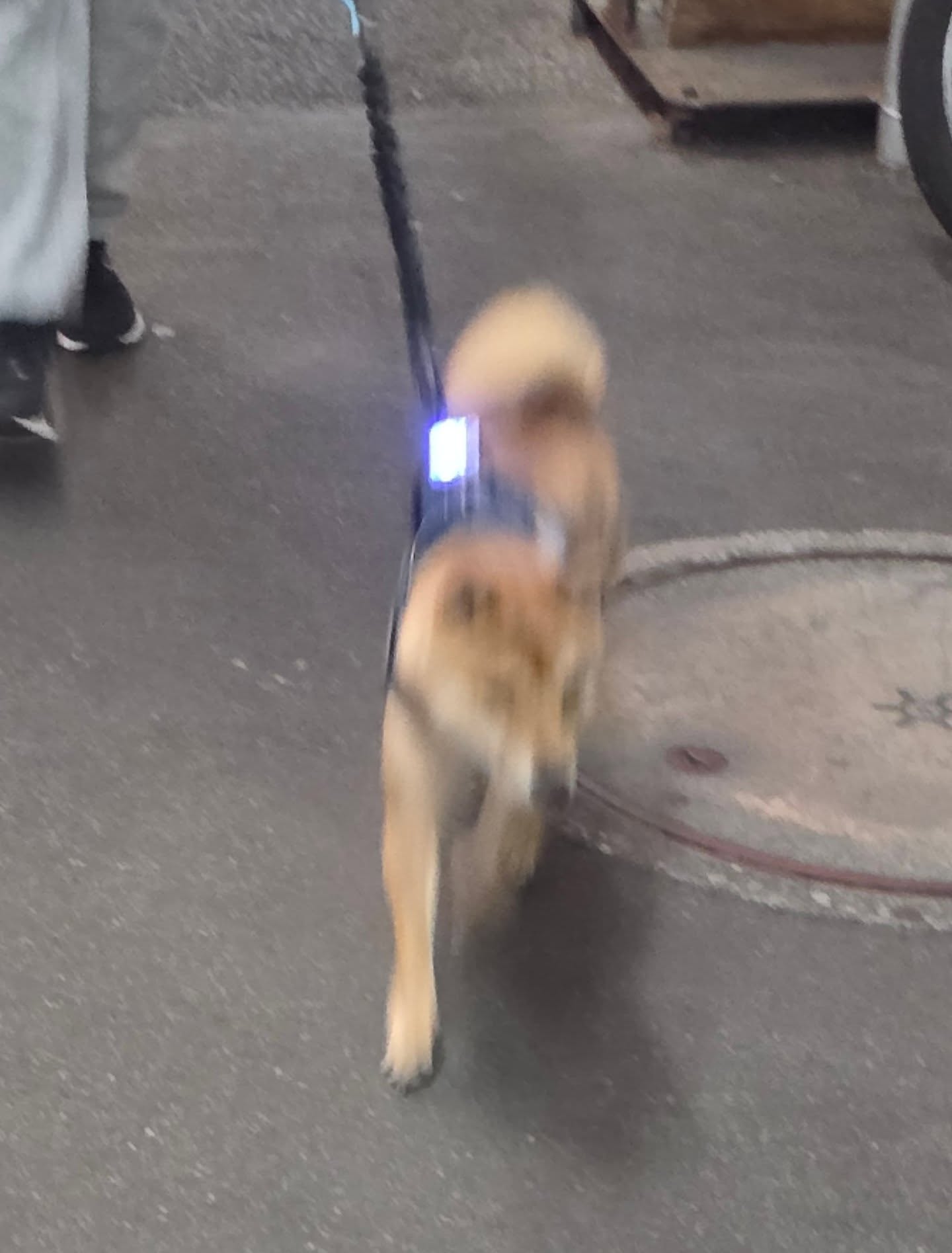 หยิ่น - อานันท์ ว่อง