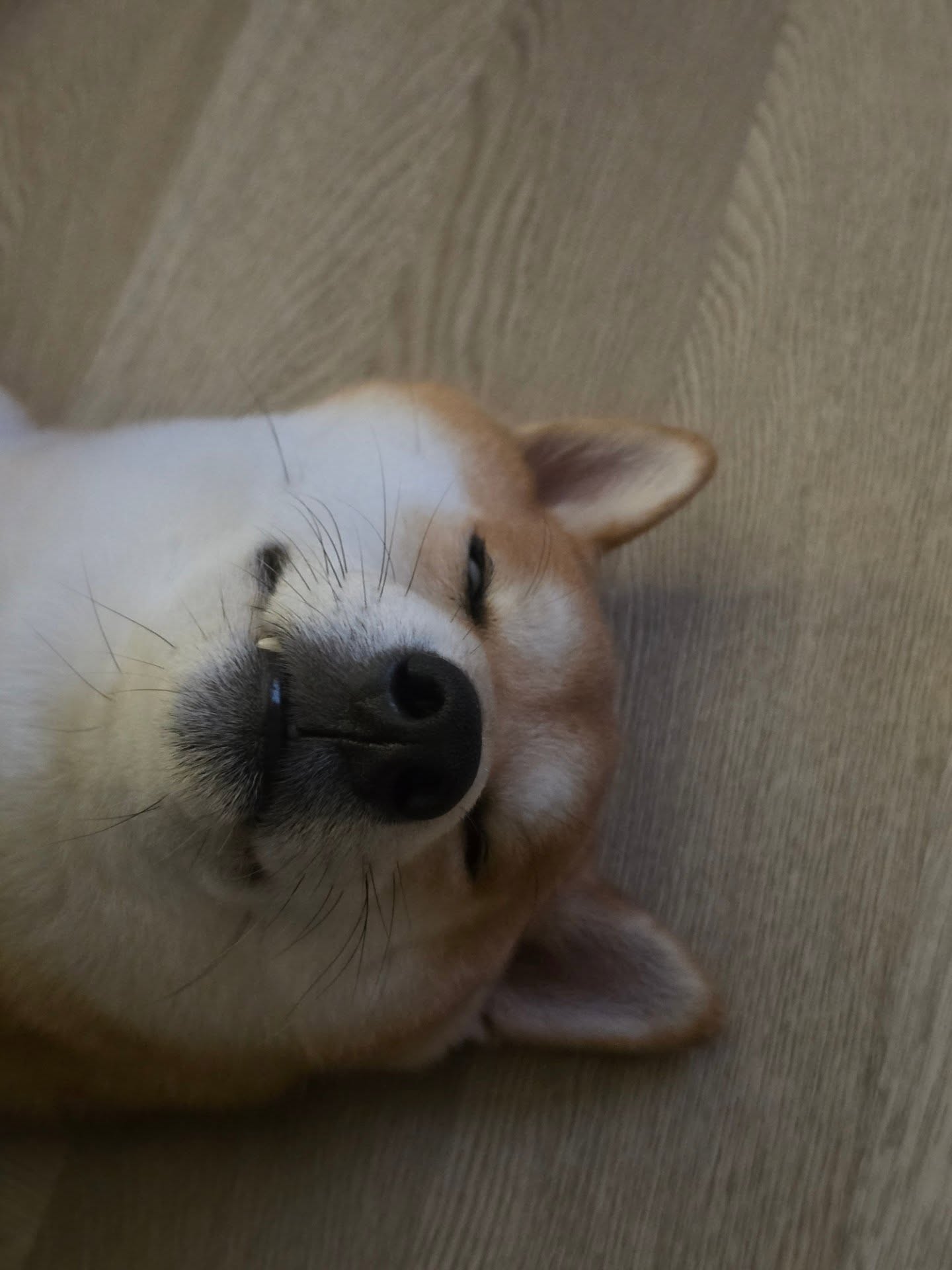 หยิ่น - อานันท์ ว่อง