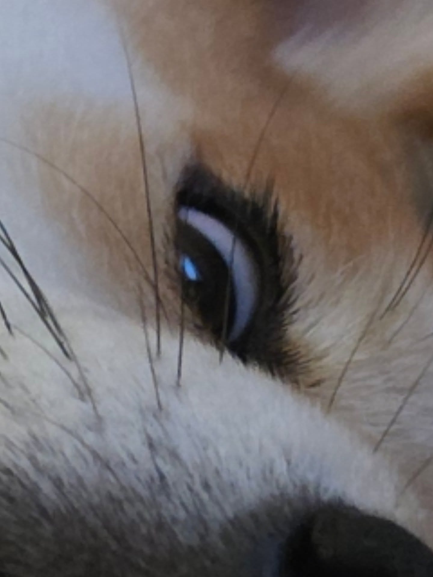 หยิ่น - อานันท์ ว่อง