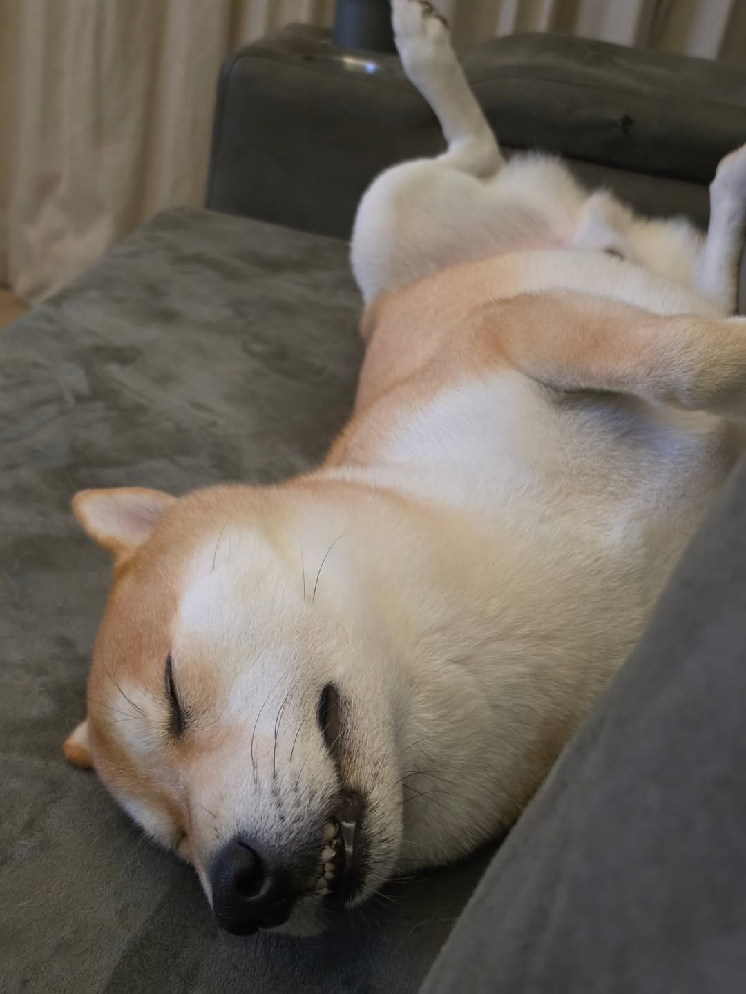 หยิ่น - อานันท์ ว่อง