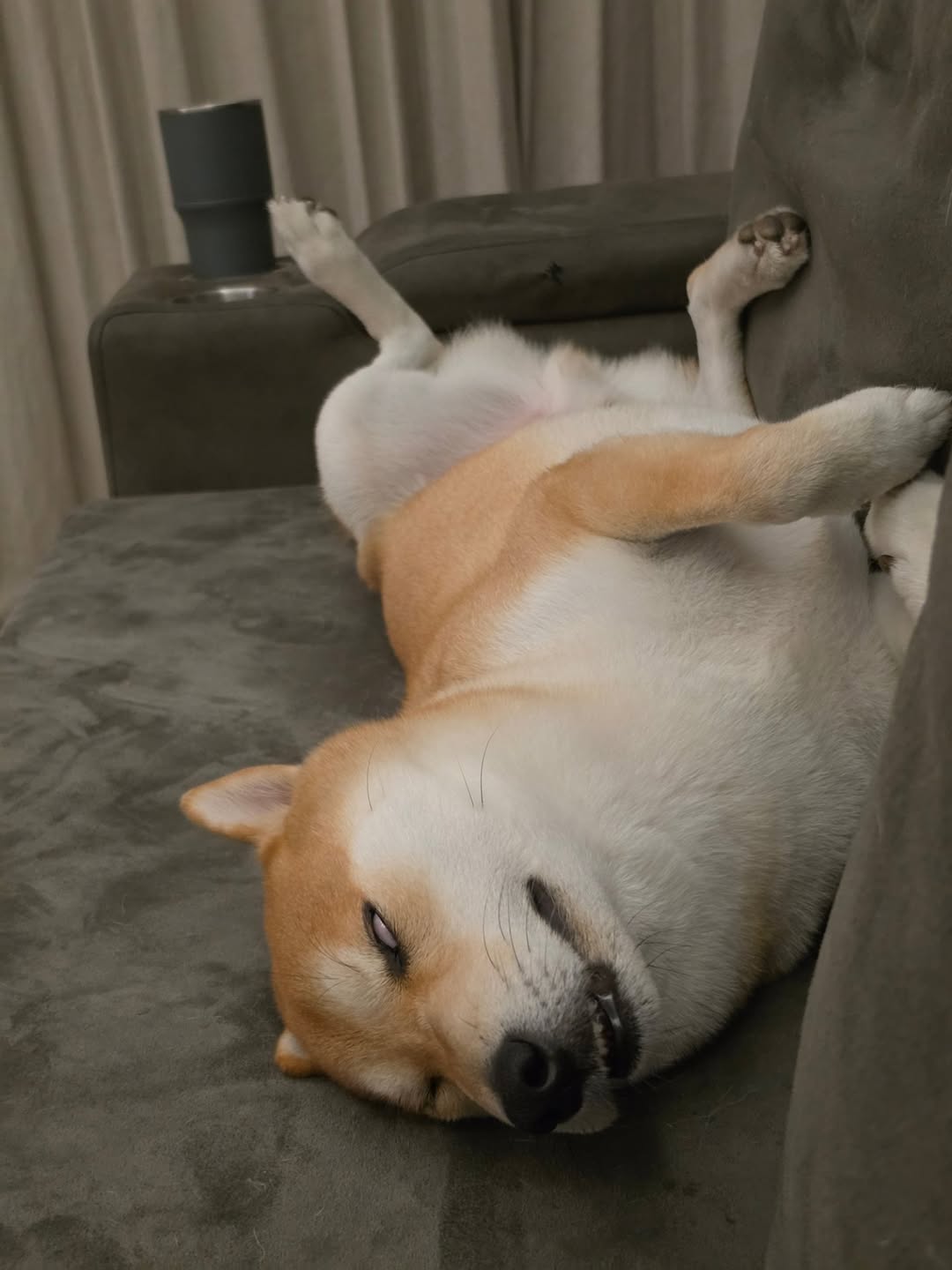 หยิ่น - อานันท์ ว่อง