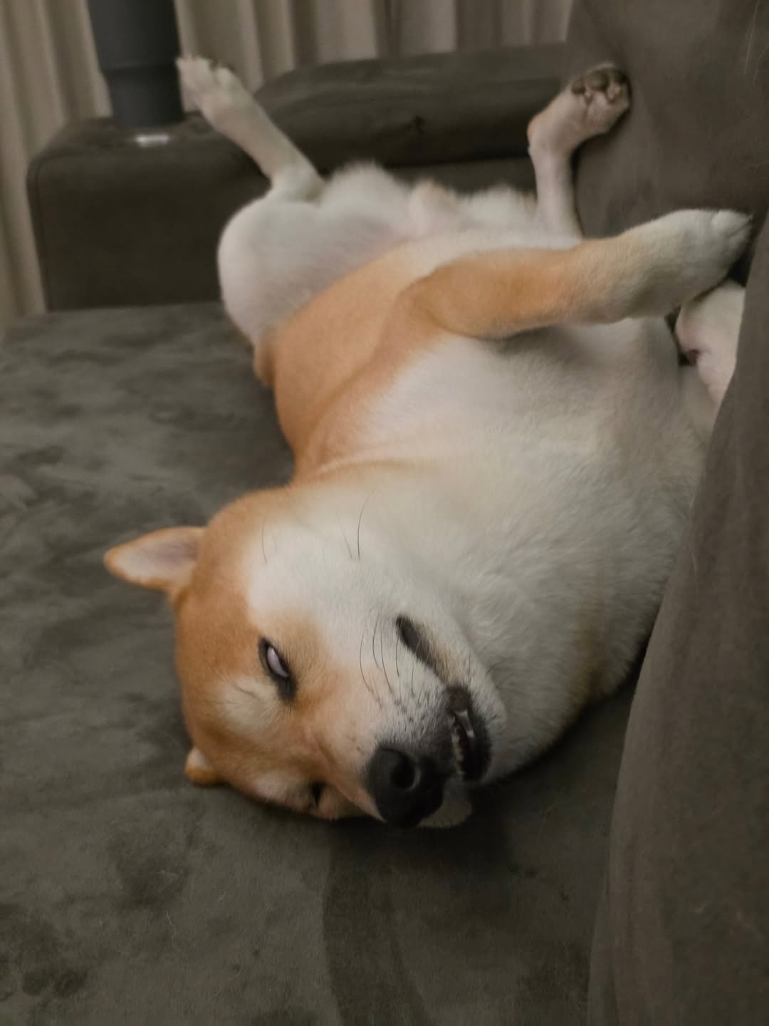 หยิ่น - อานันท์ ว่อง