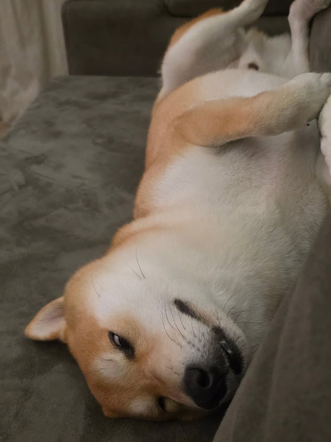 หยิ่น - อานันท์ ว่อง