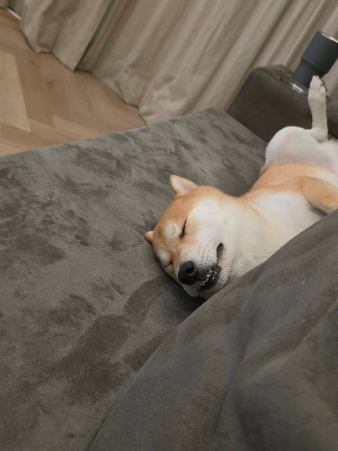 หยิ่น - อานันท์ ว่อง