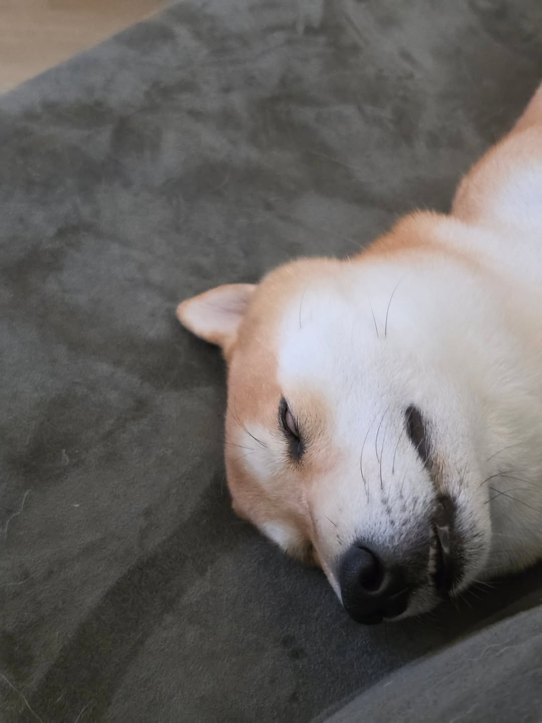 หยิ่น - อานันท์ ว่อง