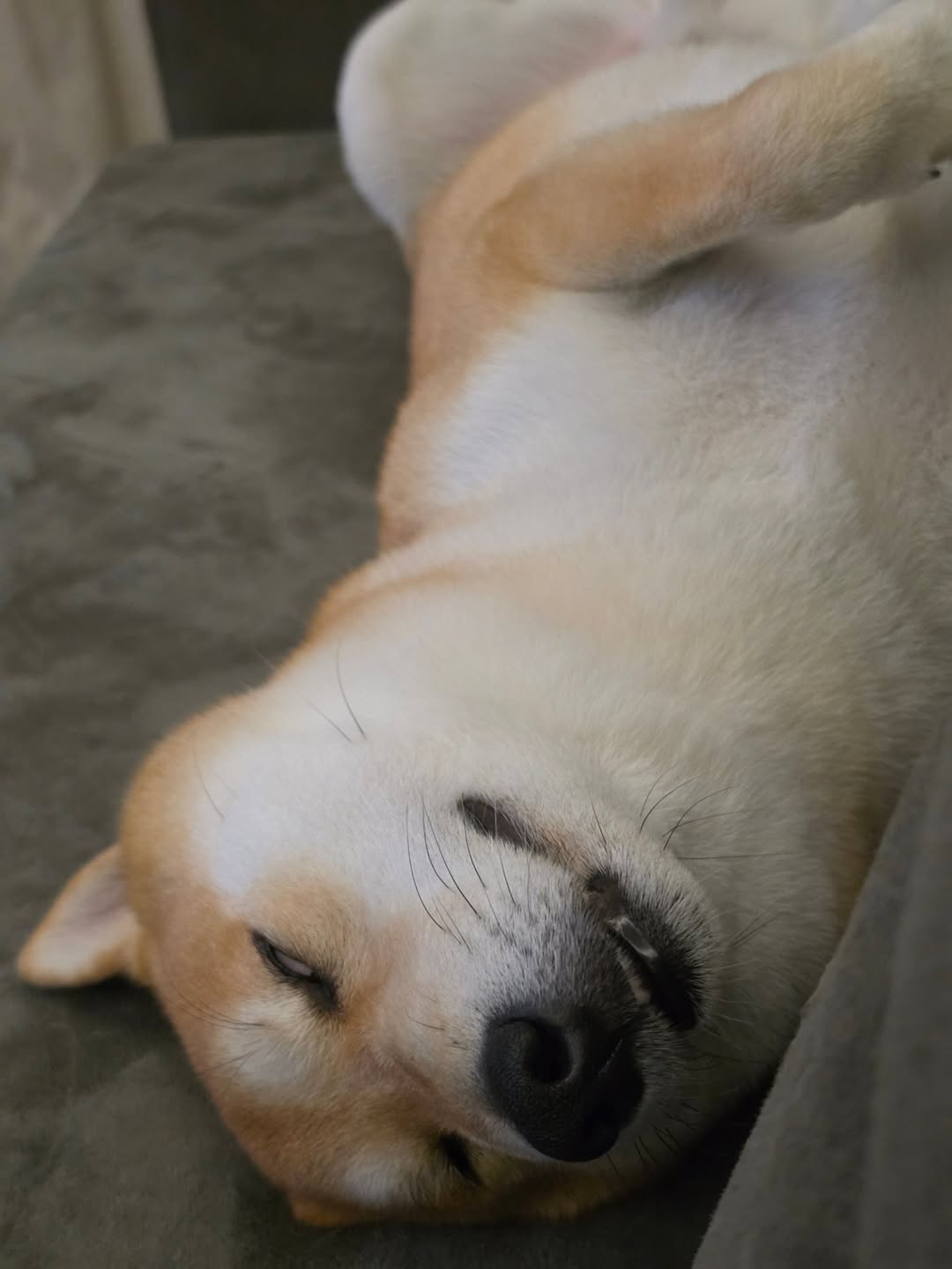 หยิ่น - อานันท์ ว่อง