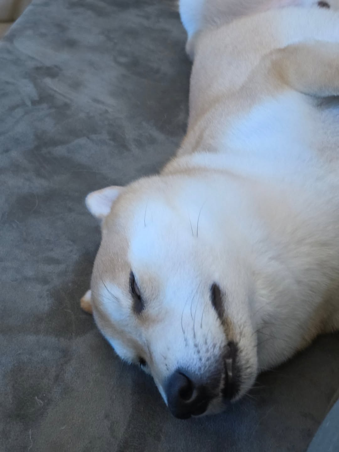 หยิ่น - อานันท์ ว่อง