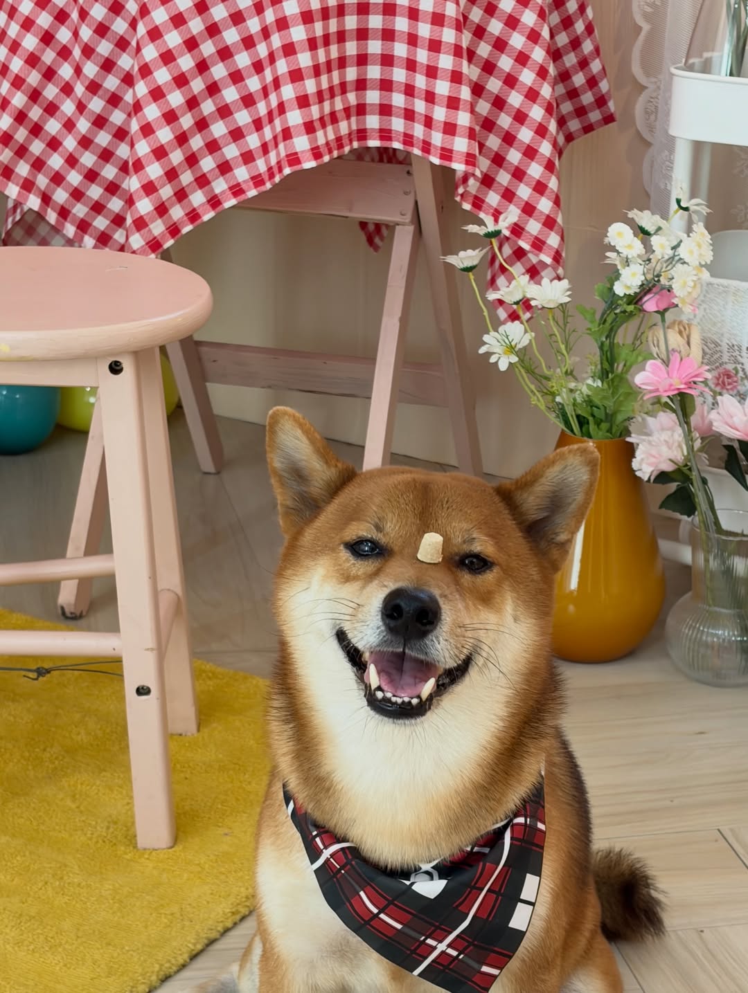 ปอนด์ - พลวิชญ์ เกตุประภากร