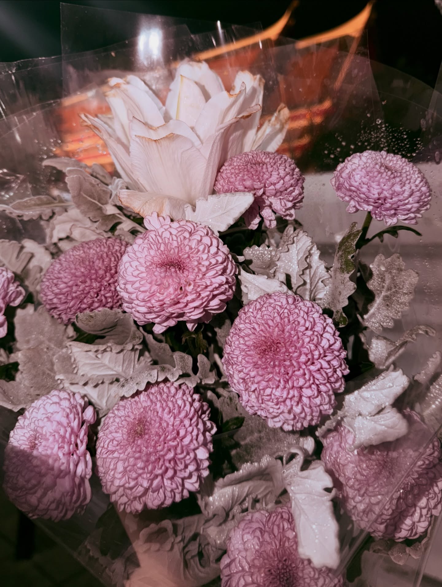 ปอนด์ - พลวิชญ์ เกตุประภากร