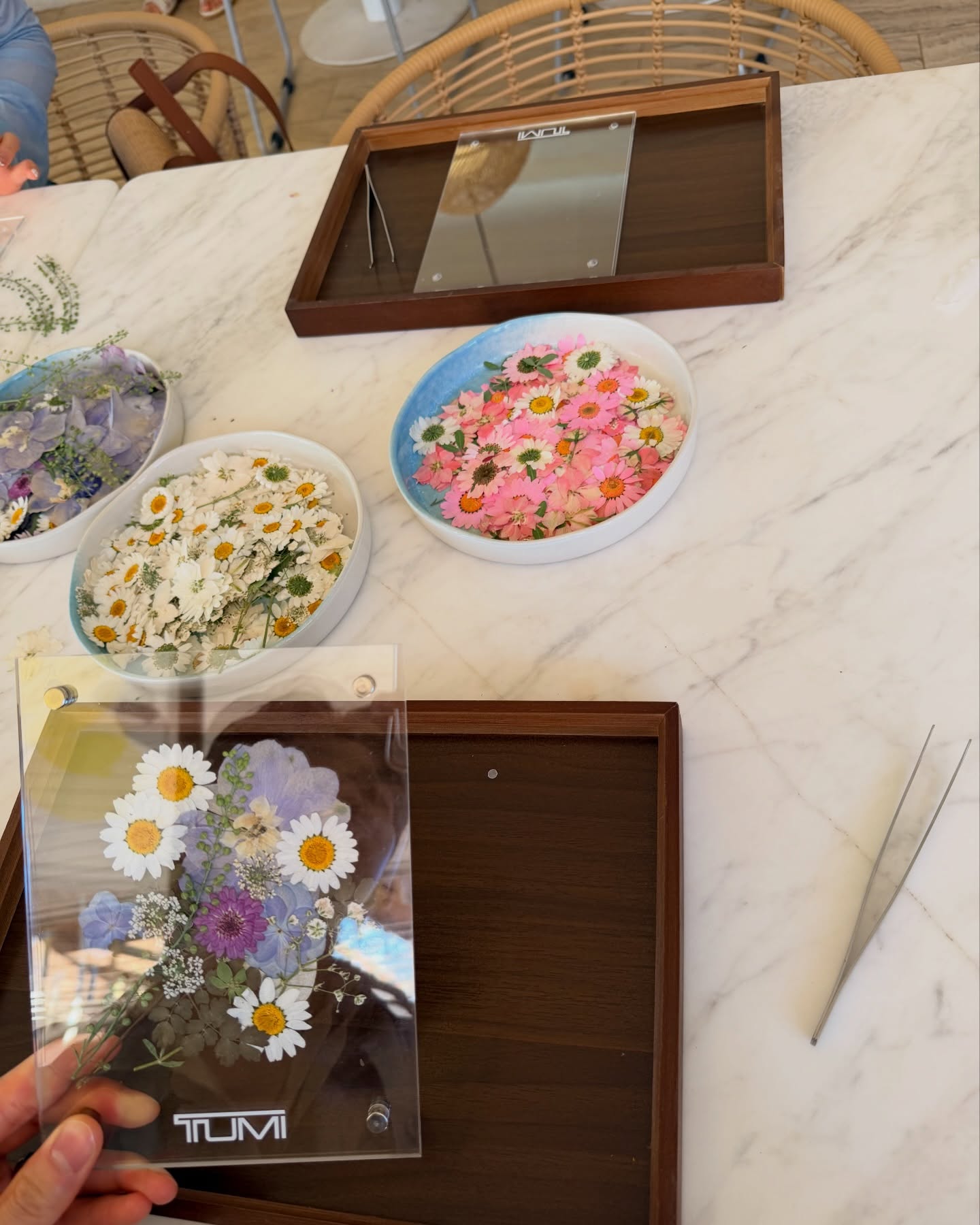 ปอนด์ - พลวิชญ์ เกตุประภากร