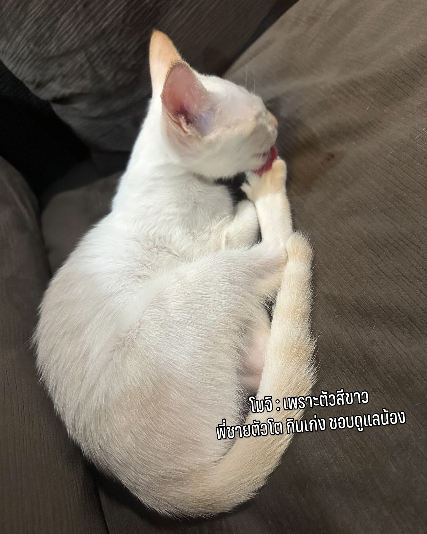 บี๊บ - ศิรสัณห์ หอวิจิตร