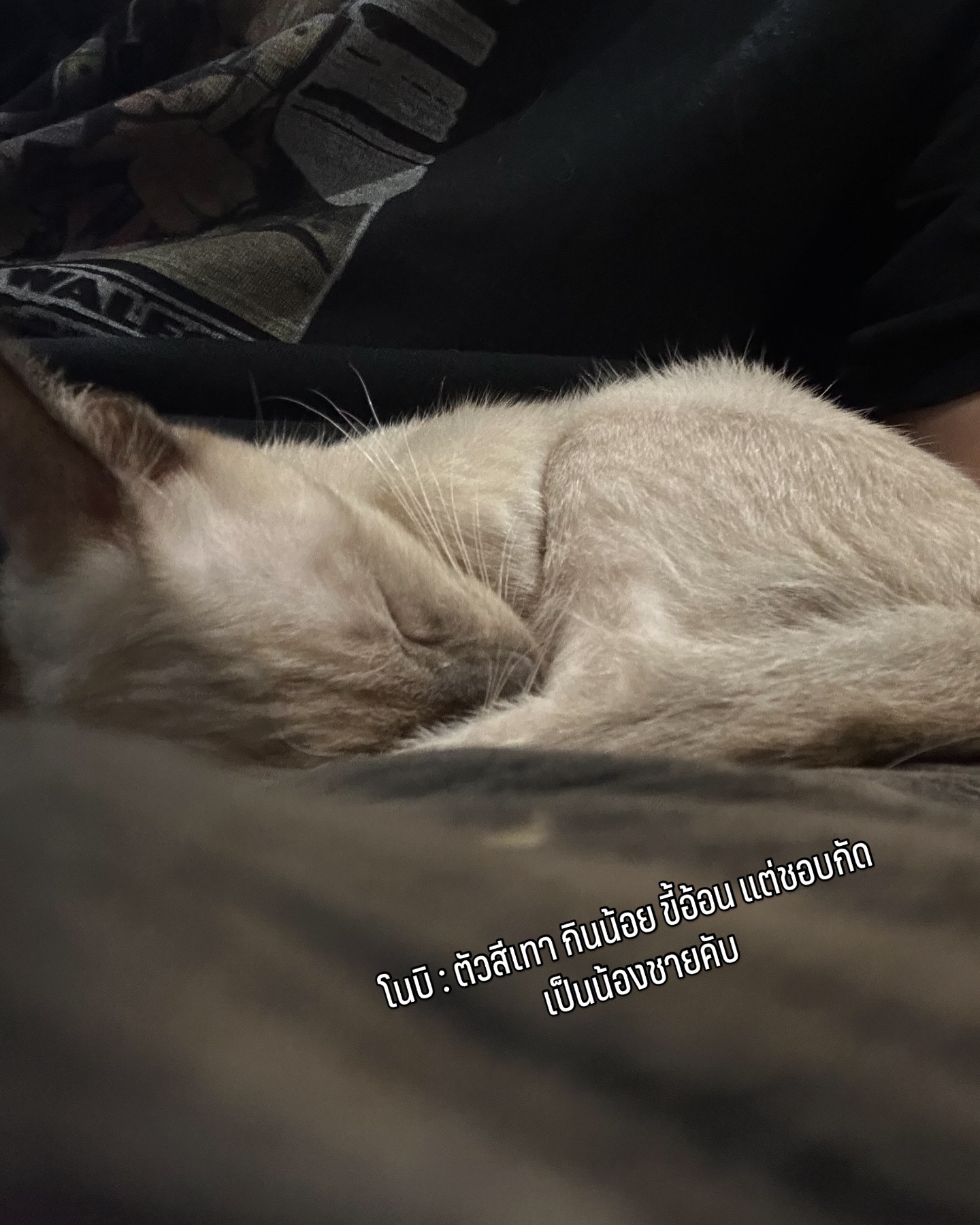 บี๊บ - ศิรสัณห์ หอวิจิตร