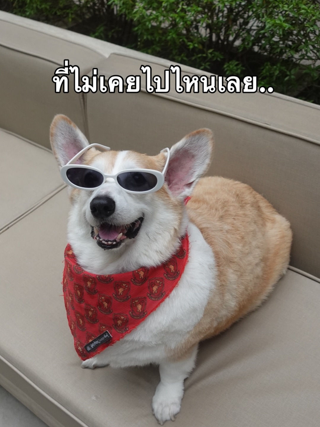บี๊บ - ศิรสัณห์ หอวิจิตร