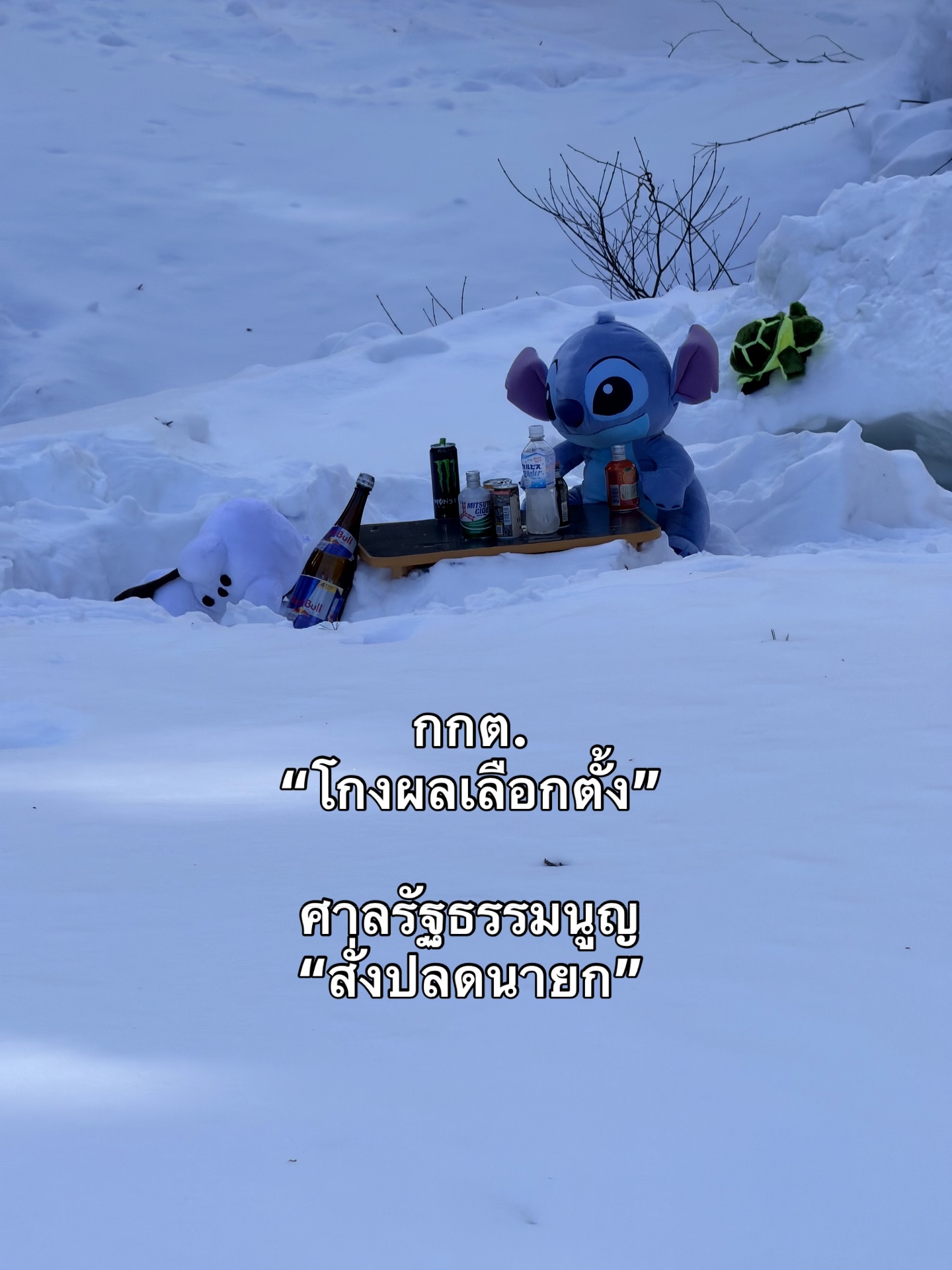 บี๊บ - ศิรสัณห์ หอวิจิตร