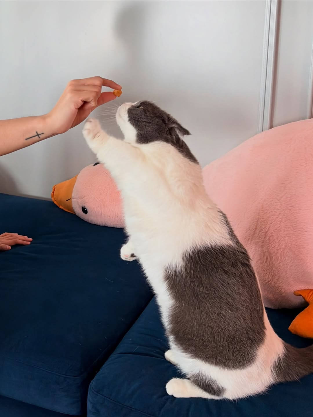 บี๊บ - ศิรสัณห์ หอวิจิตร