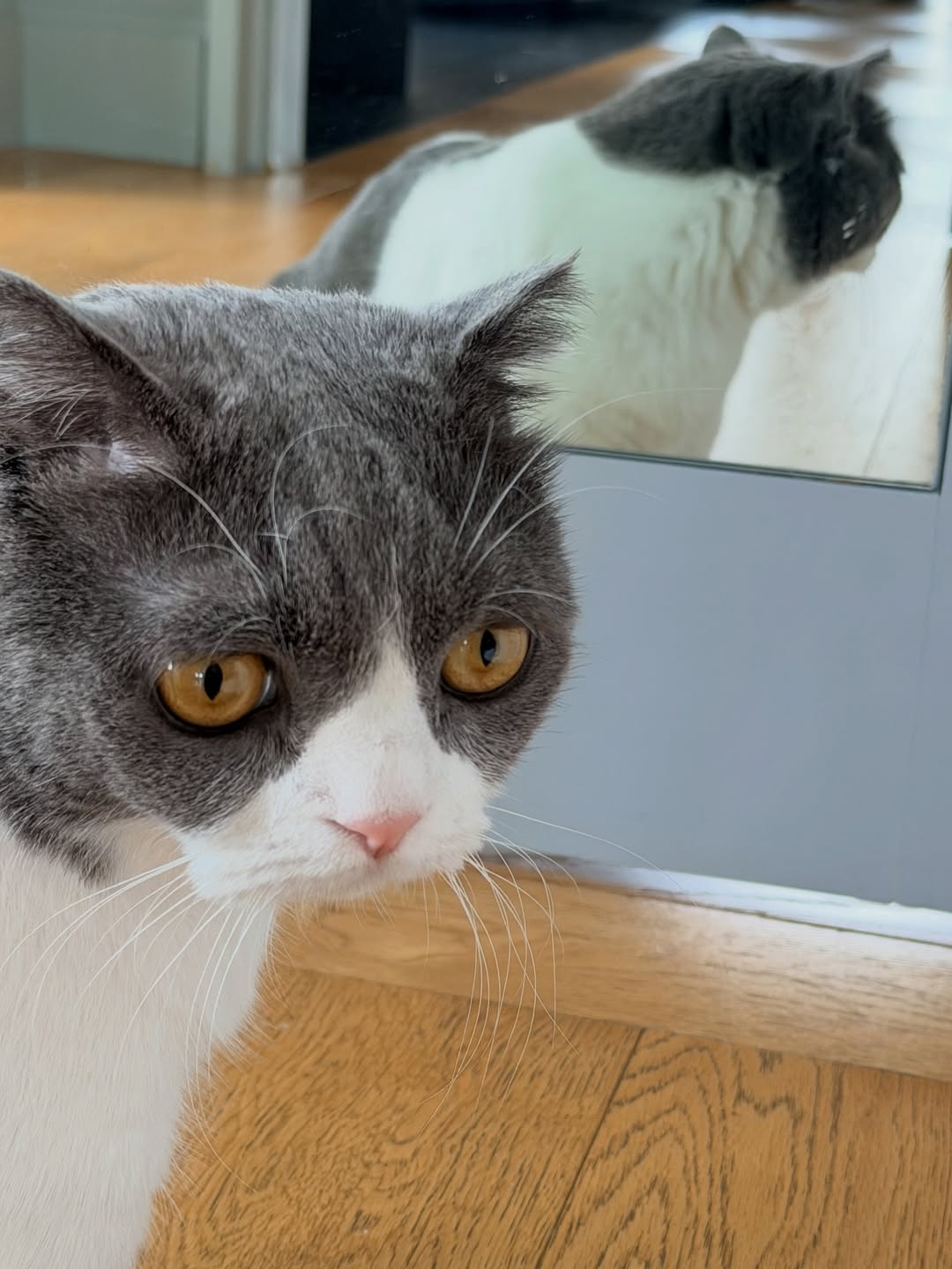 บี๊บ - ศิรสัณห์ หอวิจิตร