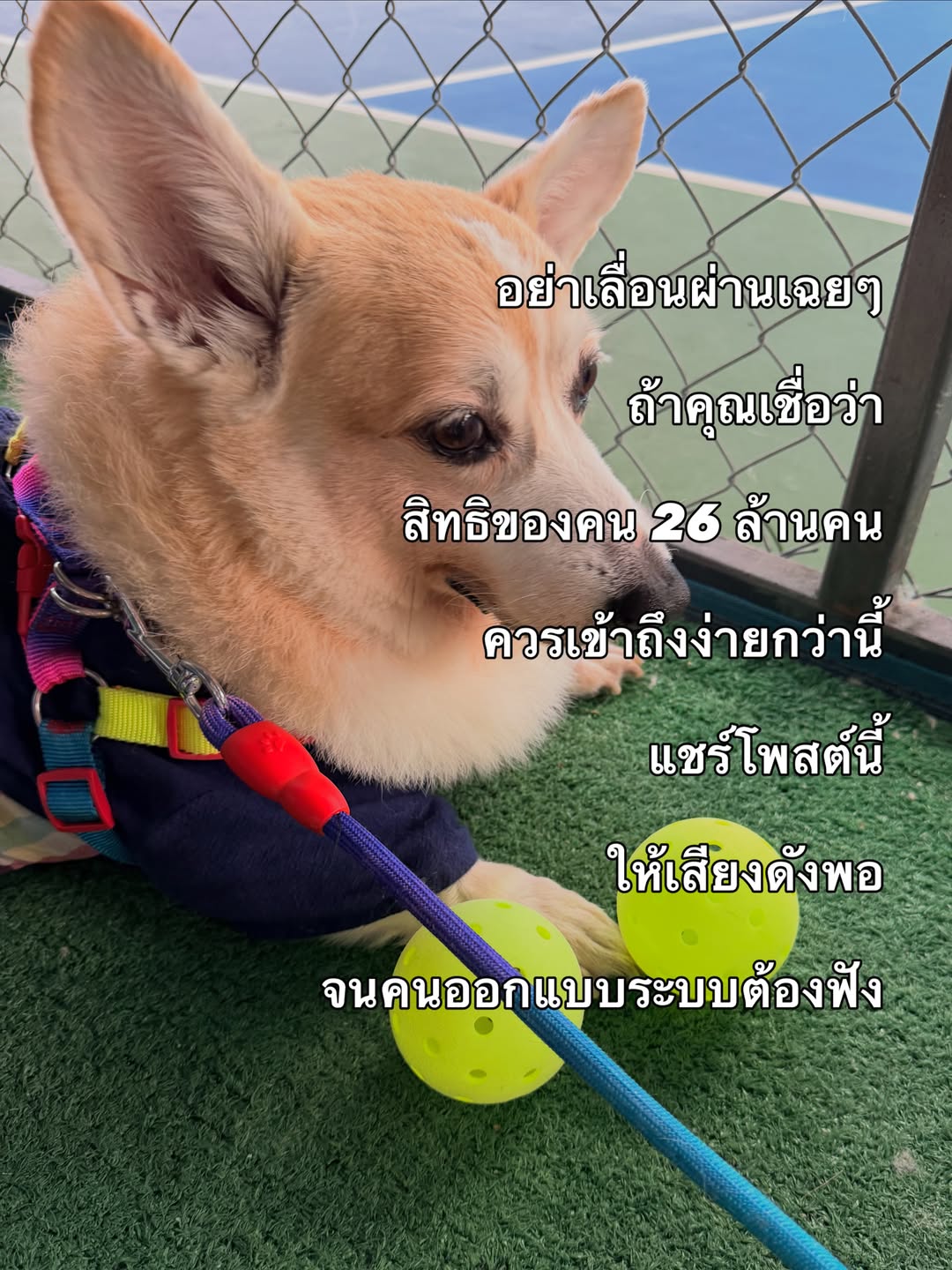 บี๊บ - ศิรสัณห์ หอวิจิตร