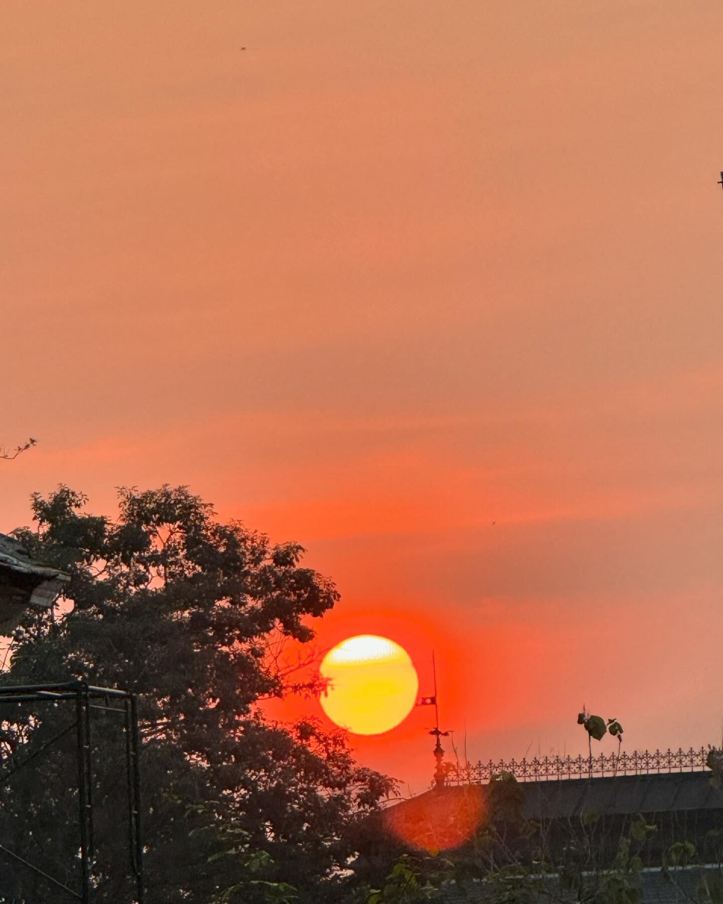 น้ำหวาน - ภูริตา สุปินชุมภู