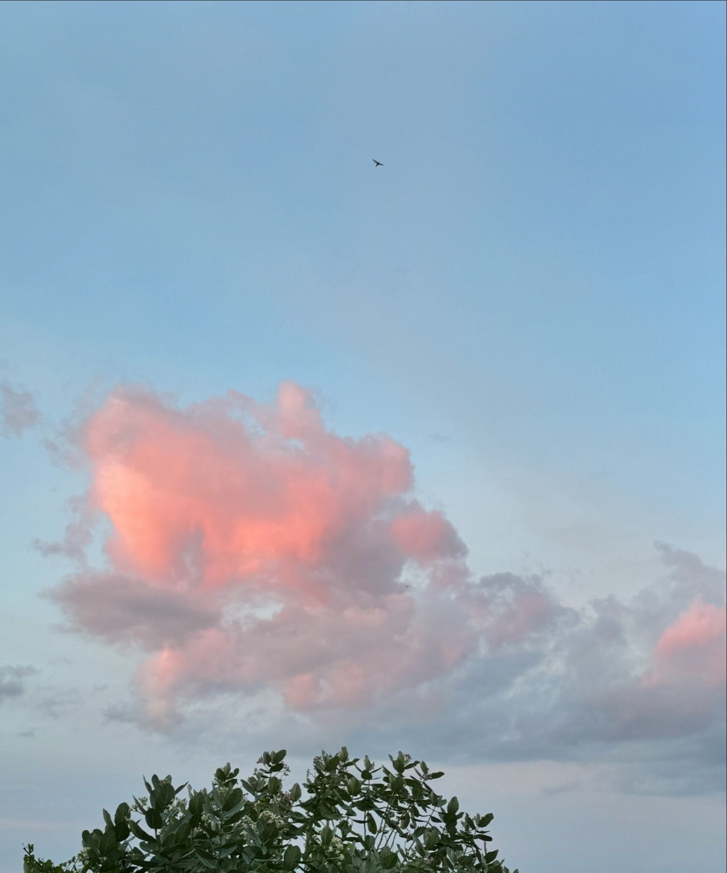 น้ำหวาน - ภูริตา สุปินชุมภู
