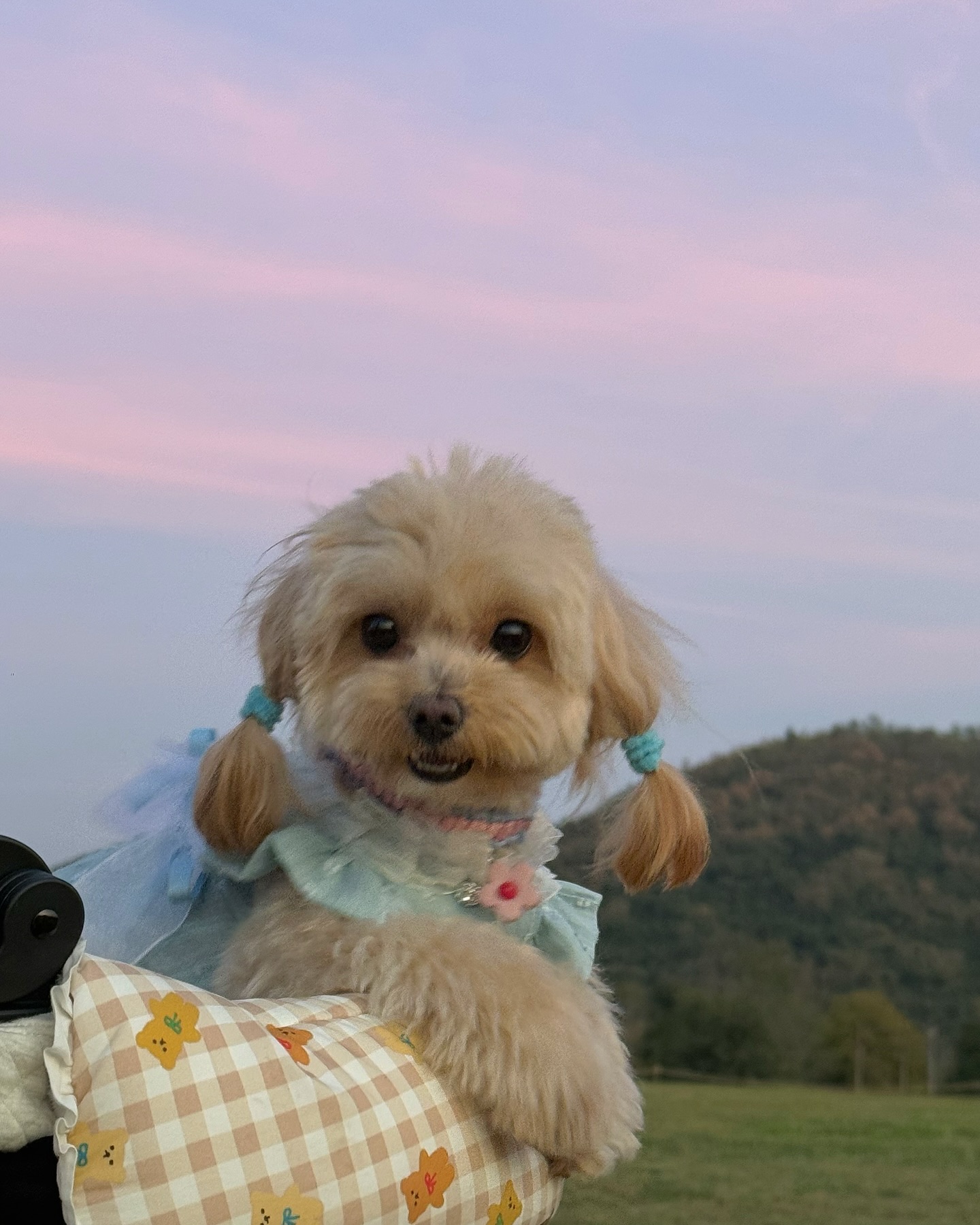 น้ำหวาน - ภูริตา สุปินชุมภู