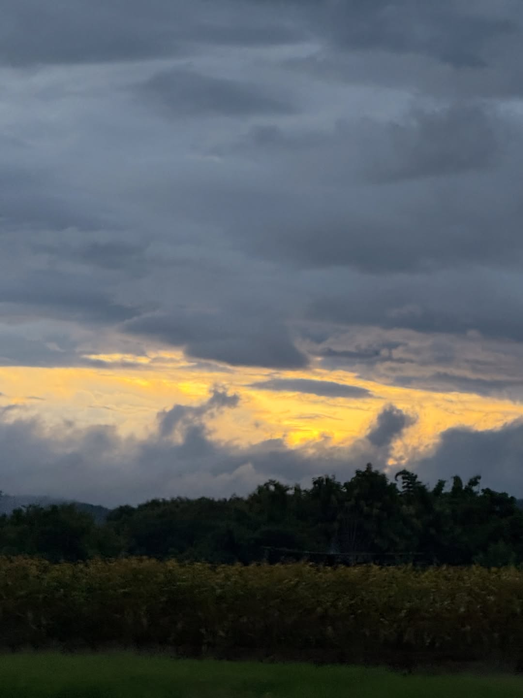 น้ำหวาน - ภูริตา สุปินชุมภู
