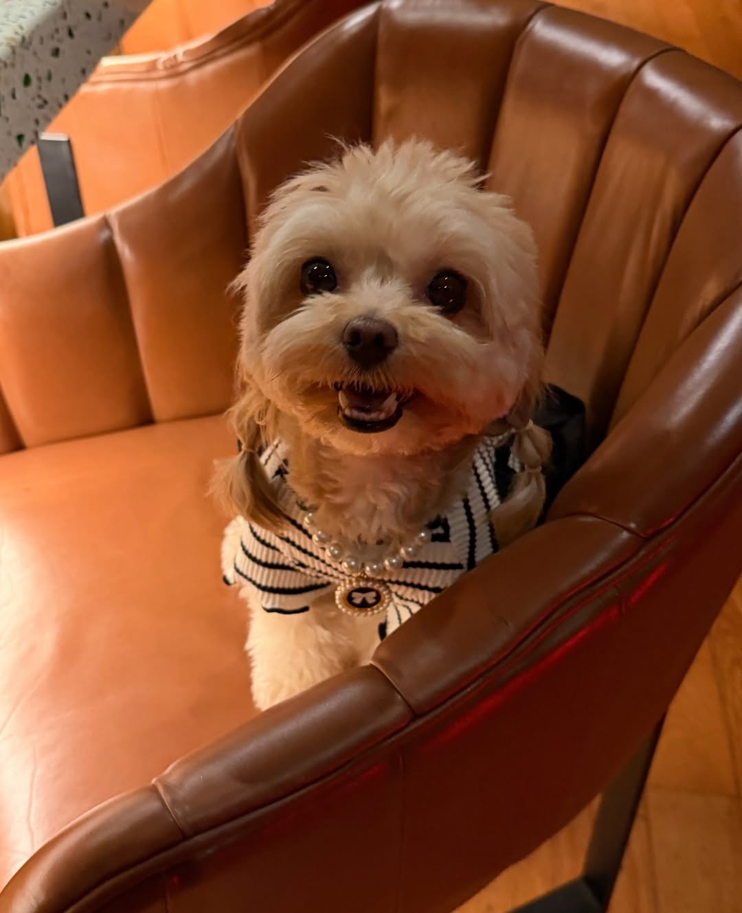 น้ำหวาน - ภูริตา สุปินชุมภู