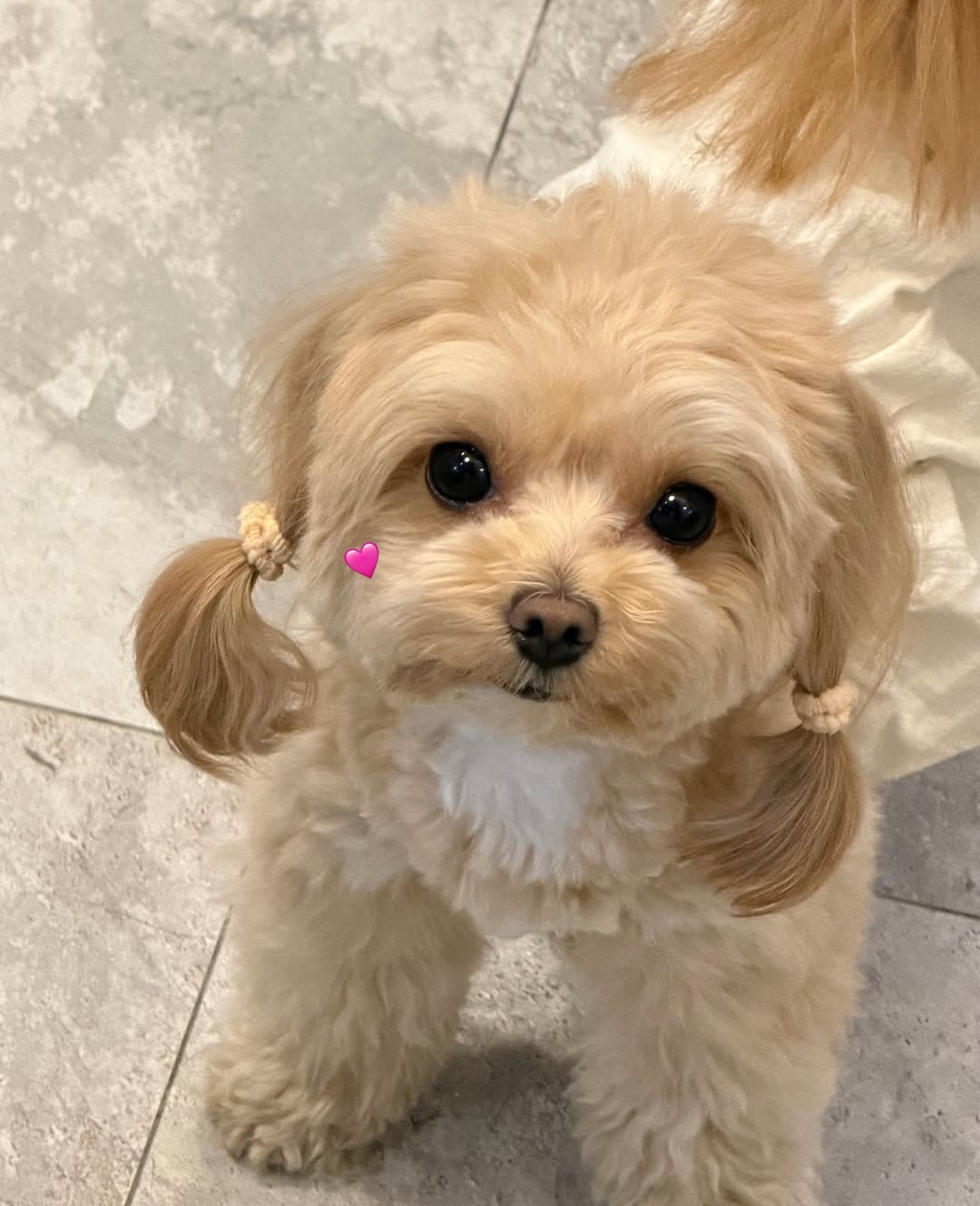 น้ำหวาน - ภูริตา สุปินชุมภู