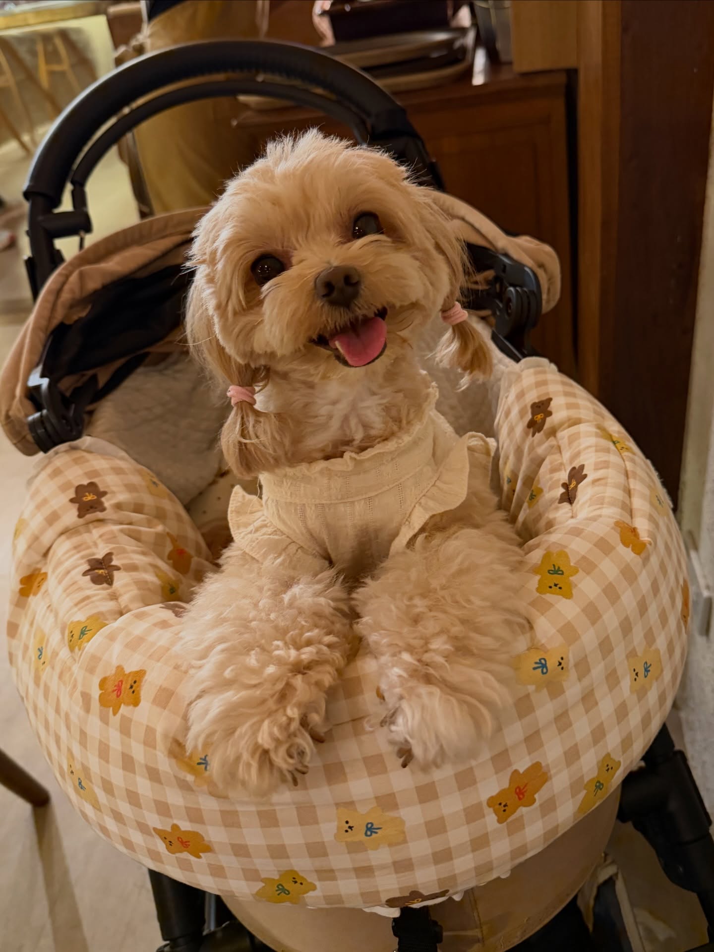 น้ำหวาน - ภูริตา สุปินชุมภู