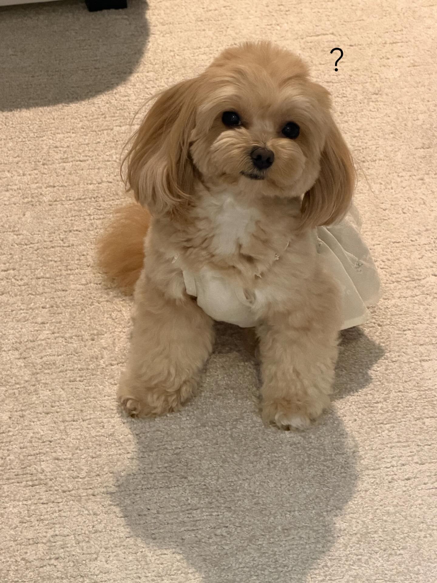 น้ำหวาน - ภูริตา สุปินชุมภู