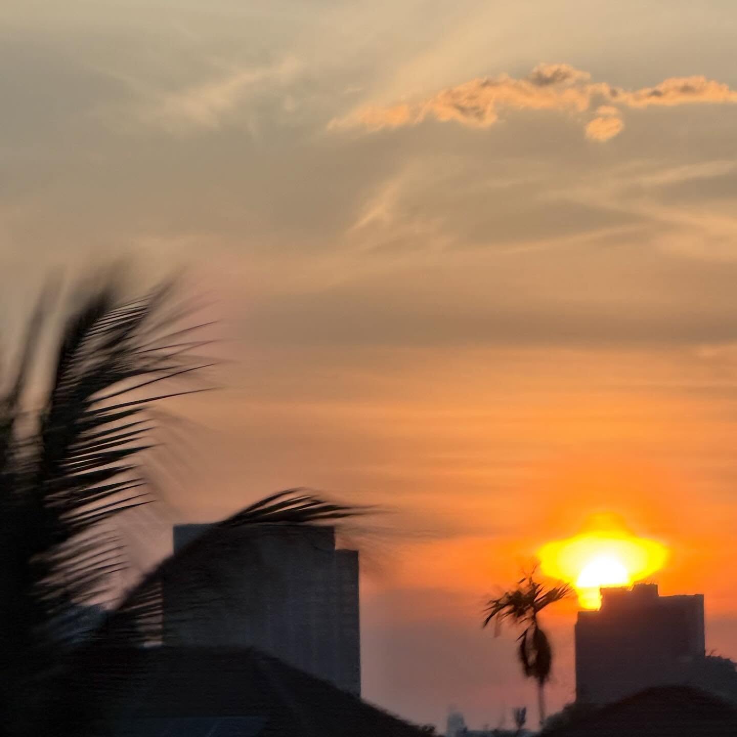 น้ำหวาน - ภูริตา สุปินชุมภู