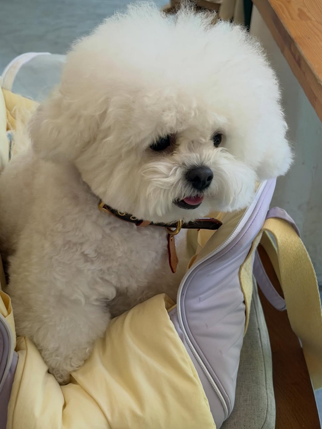 น้ำหวาน - ภูริตา สุปินชุมภู