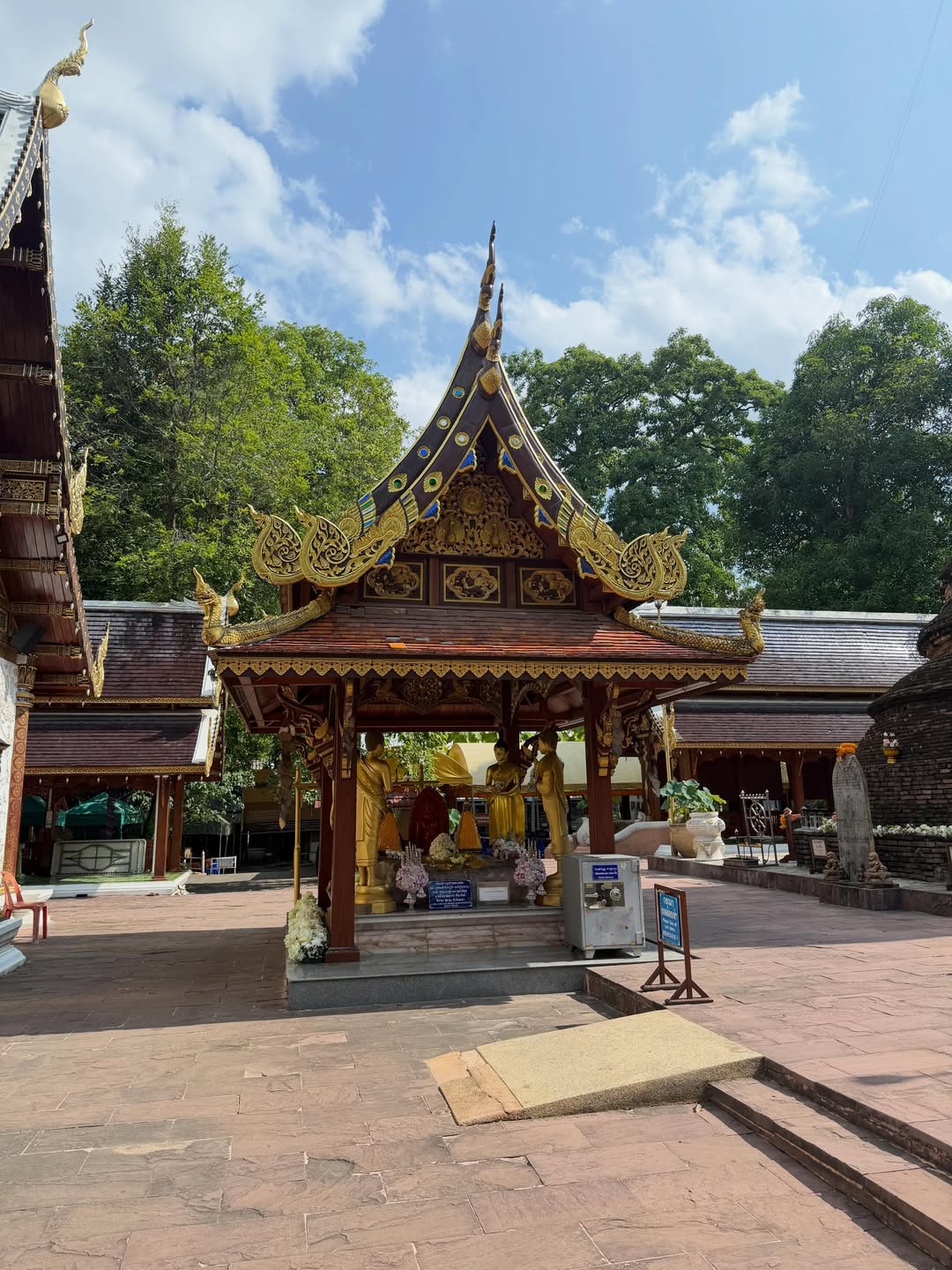 น้ำหวาน - ภูริตา สุปินชุมภู