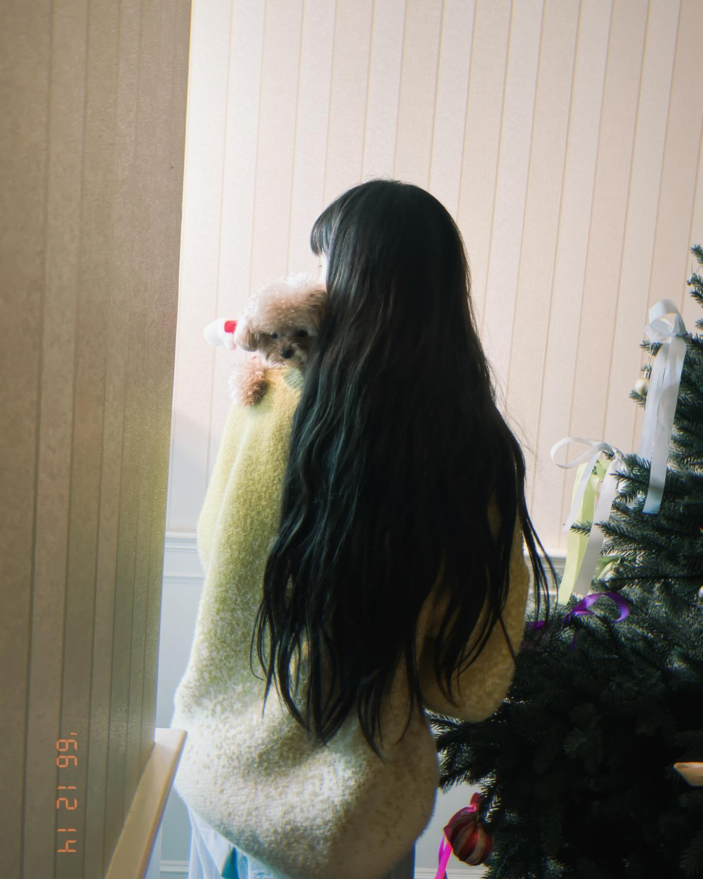 จูเน่ - เพลินพิชญา โกมลารชุน