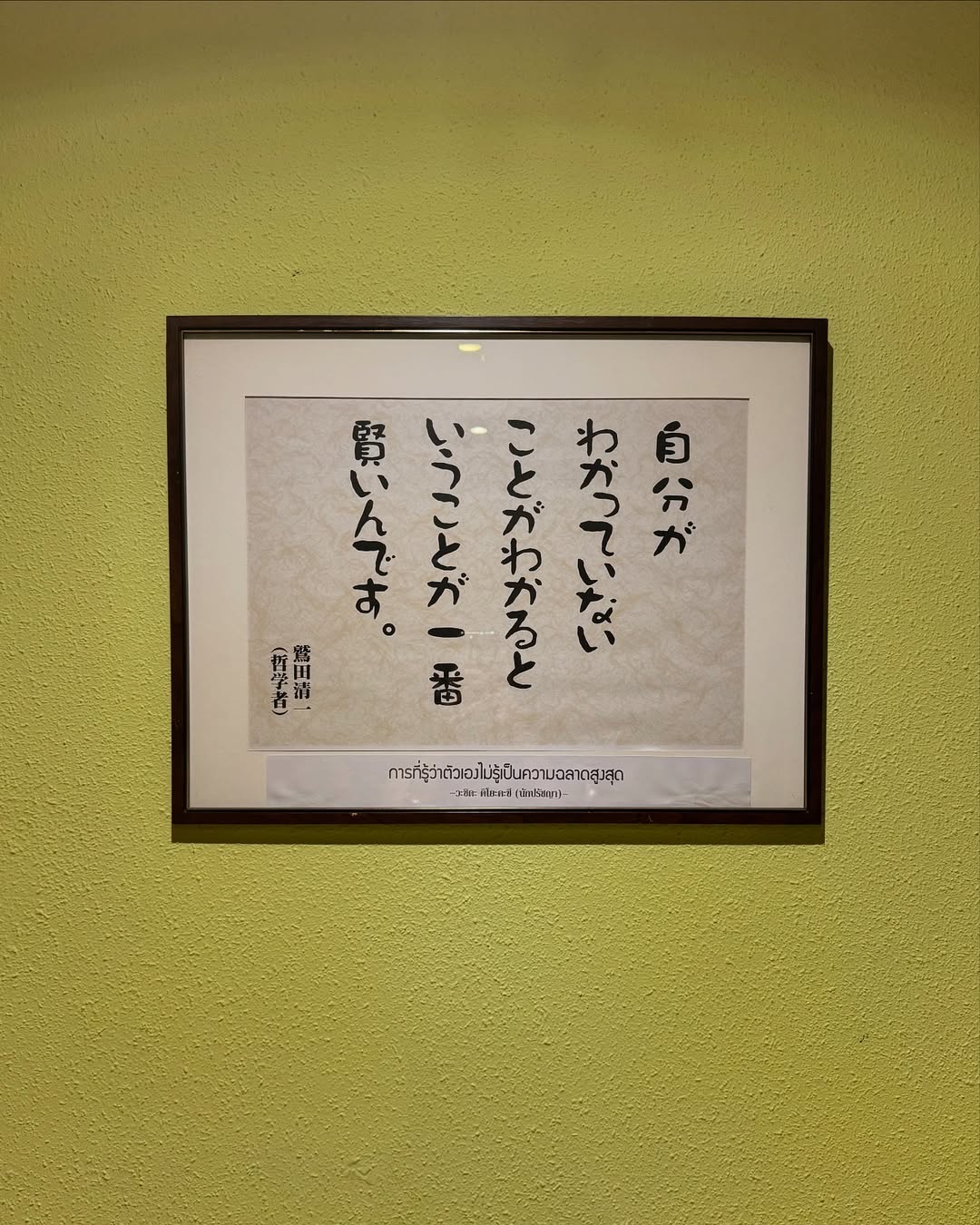 จูเน่ - เพลินพิชญา โกมลารชุน