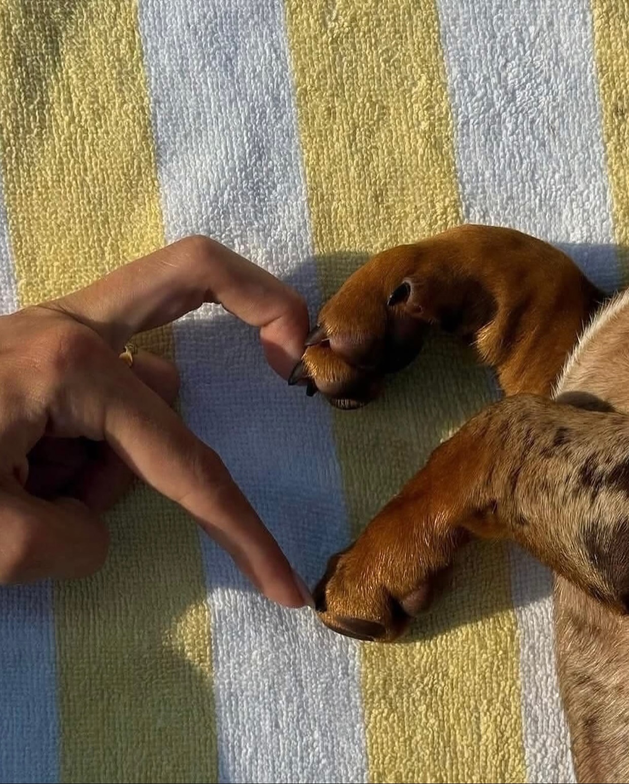 จูเน่ - เพลินพิชญา โกมลารชุน