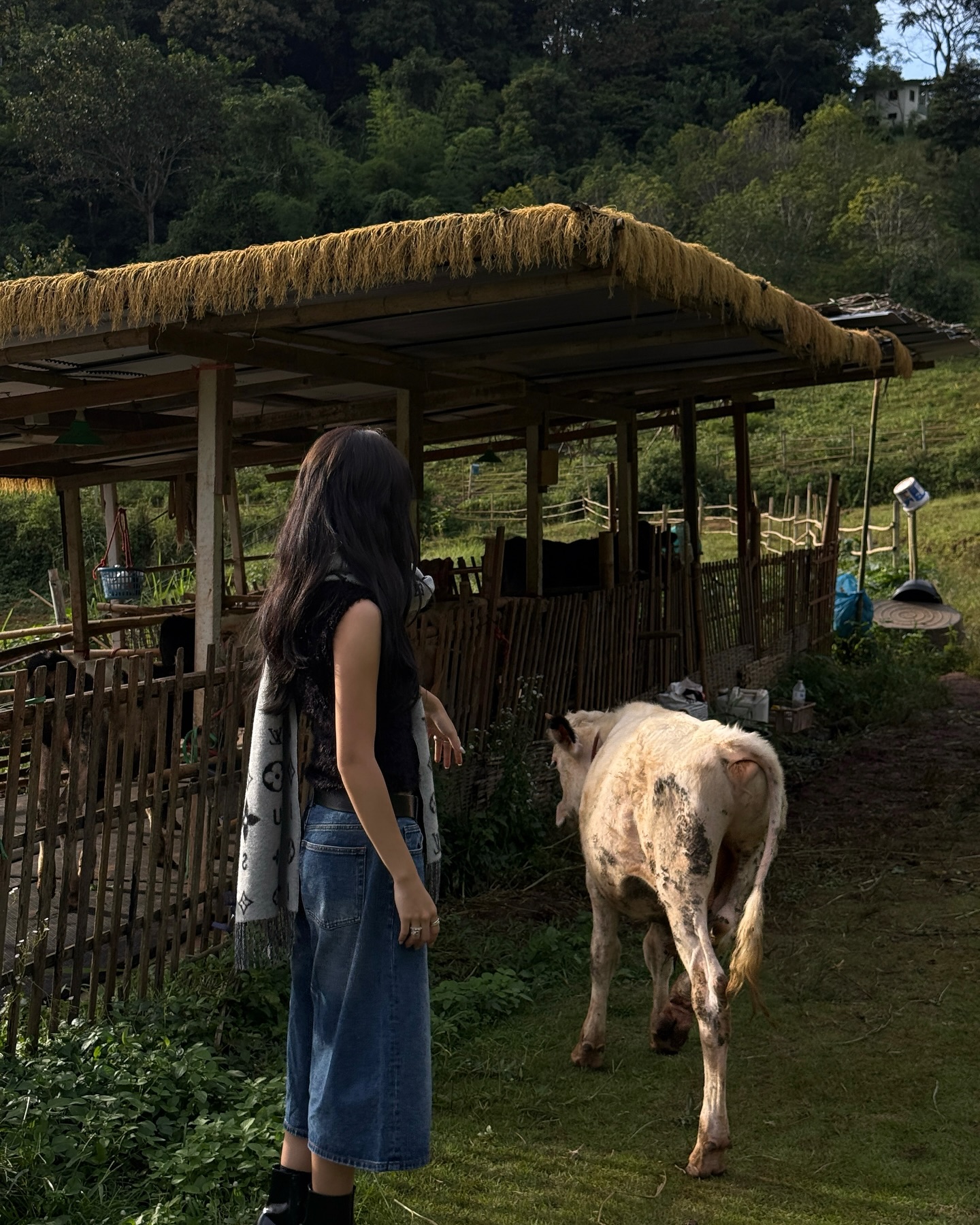 จูเน่ - เพลินพิชญา โกมลารชุน