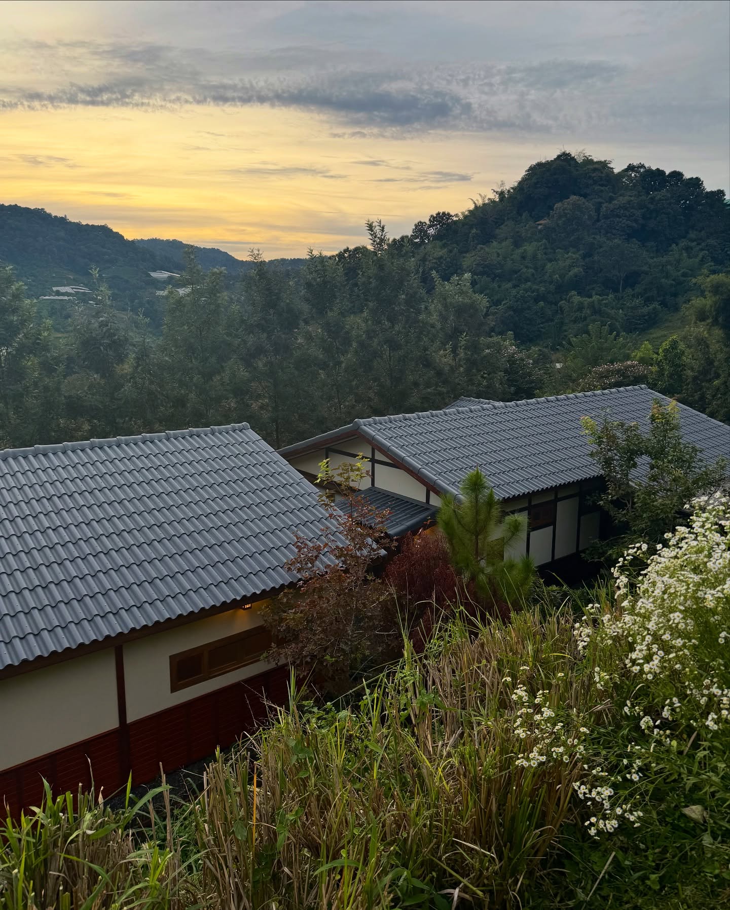 จูเน่ - เพลินพิชญา โกมลารชุน