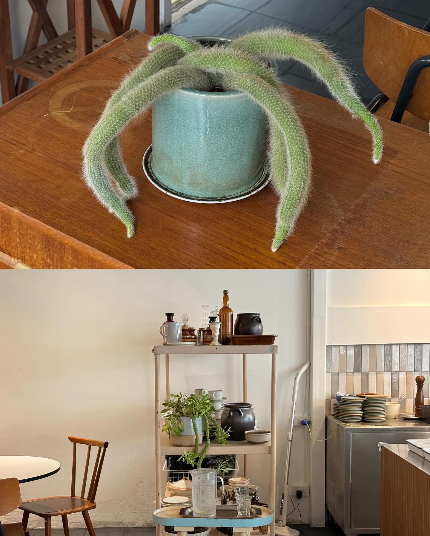 จูเน่ - เพลินพิชญา โกมลารชุน