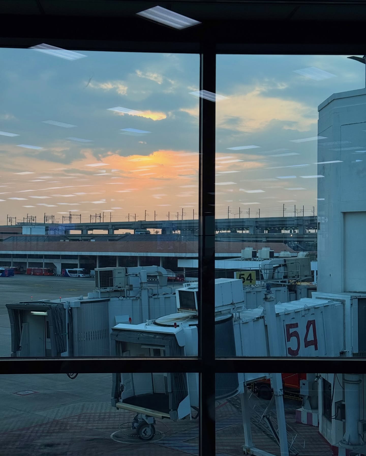 จูเน่ - เพลินพิชญา โกมลารชุน