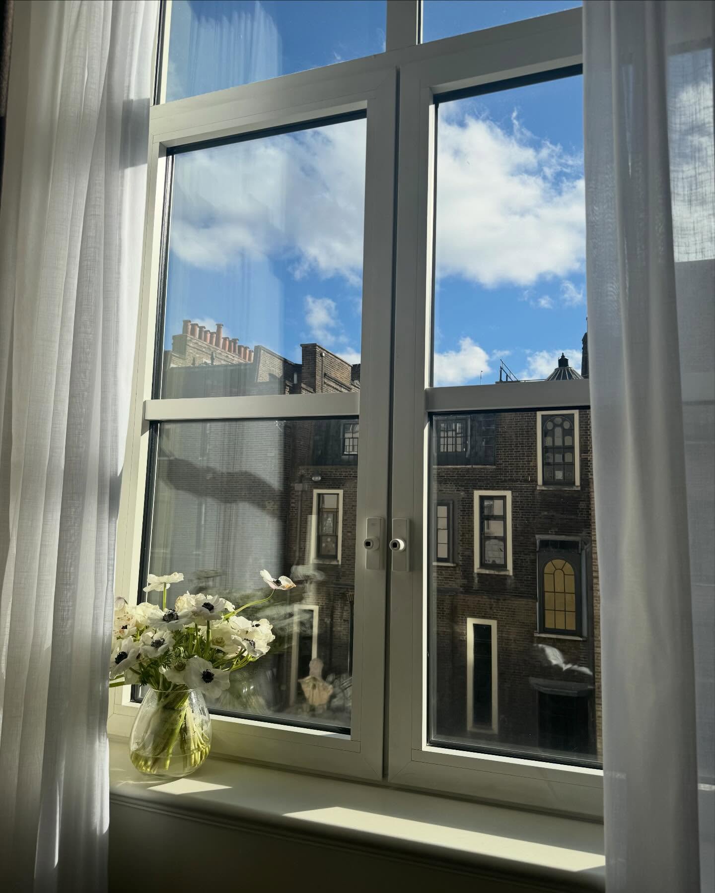 จูเน่ - เพลินพิชญา โกมลารชุน