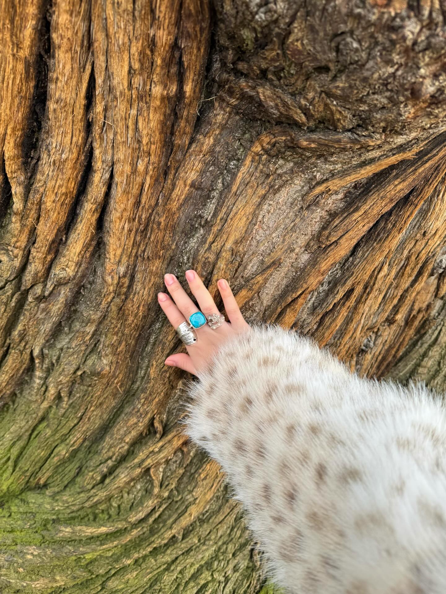 จูเน่ - เพลินพิชญา โกมลารชุน