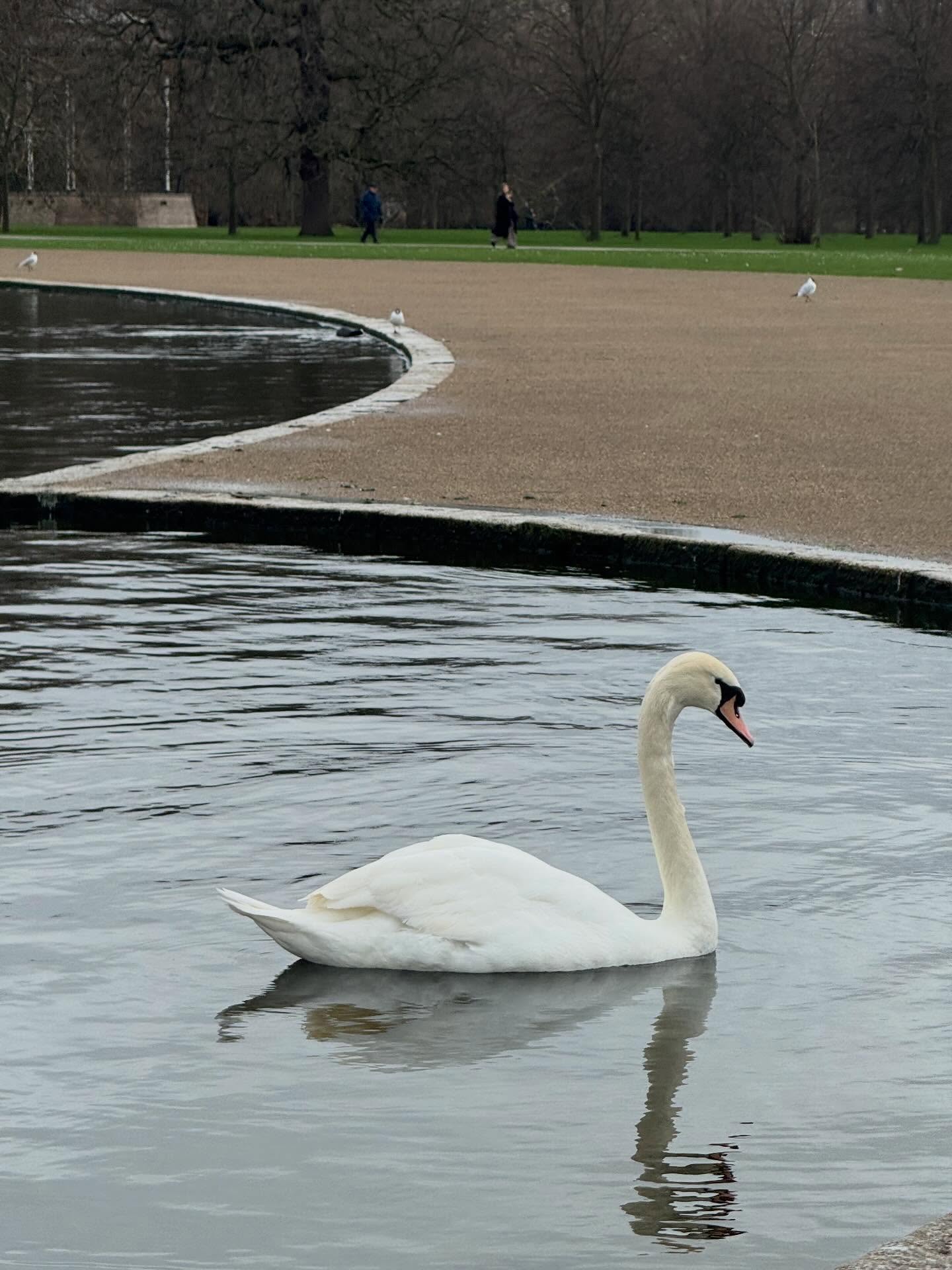 จูเน่ - เพลินพิชญา โกมลารชุน