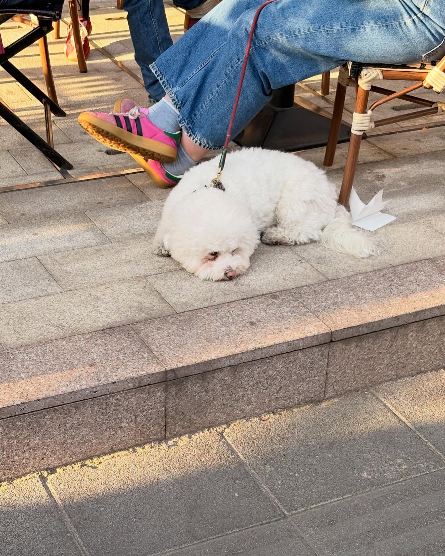 จูเน่ - เพลินพิชญา โกมลารชุน