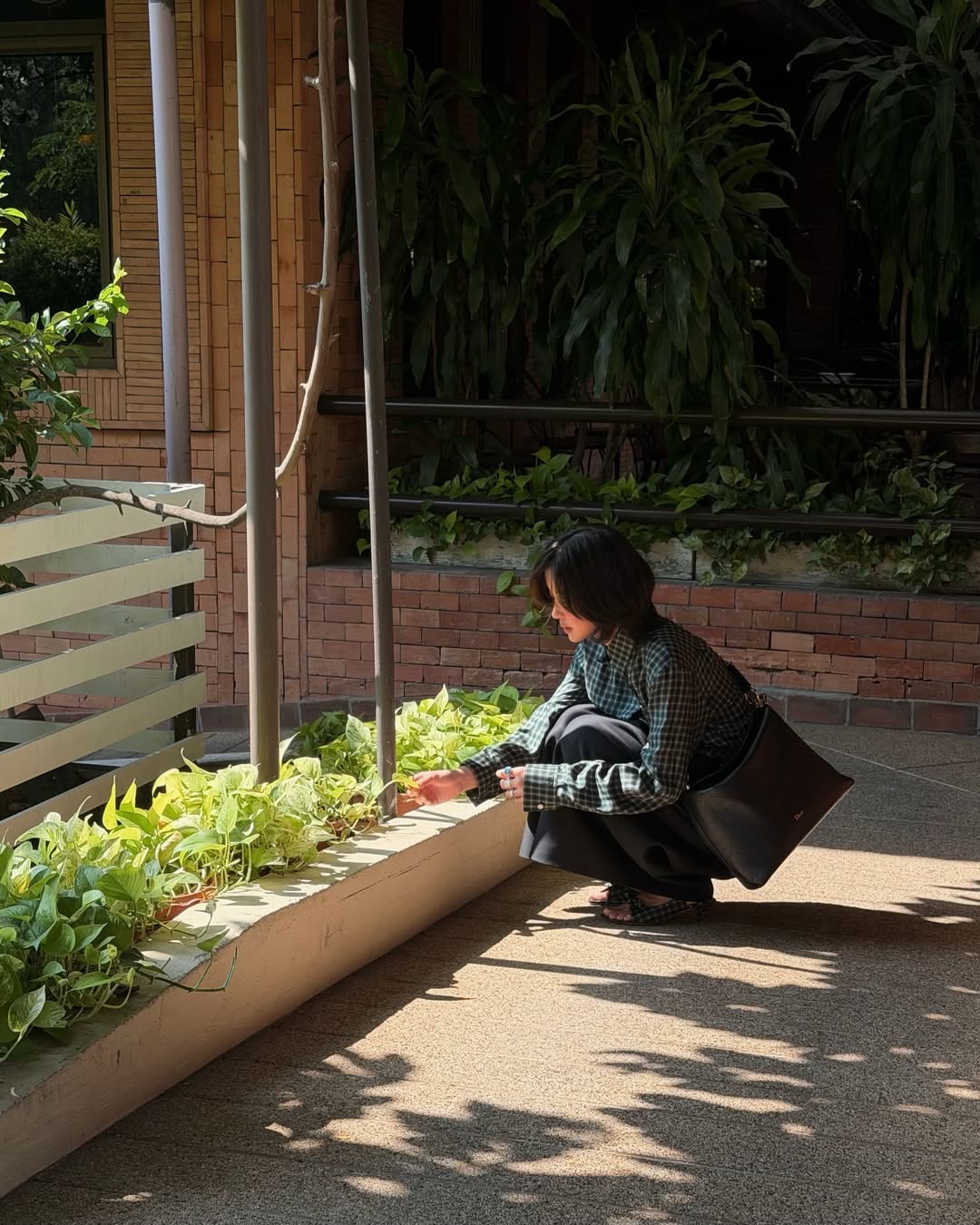 จูเน่ - เพลินพิชญา โกมลารชุน