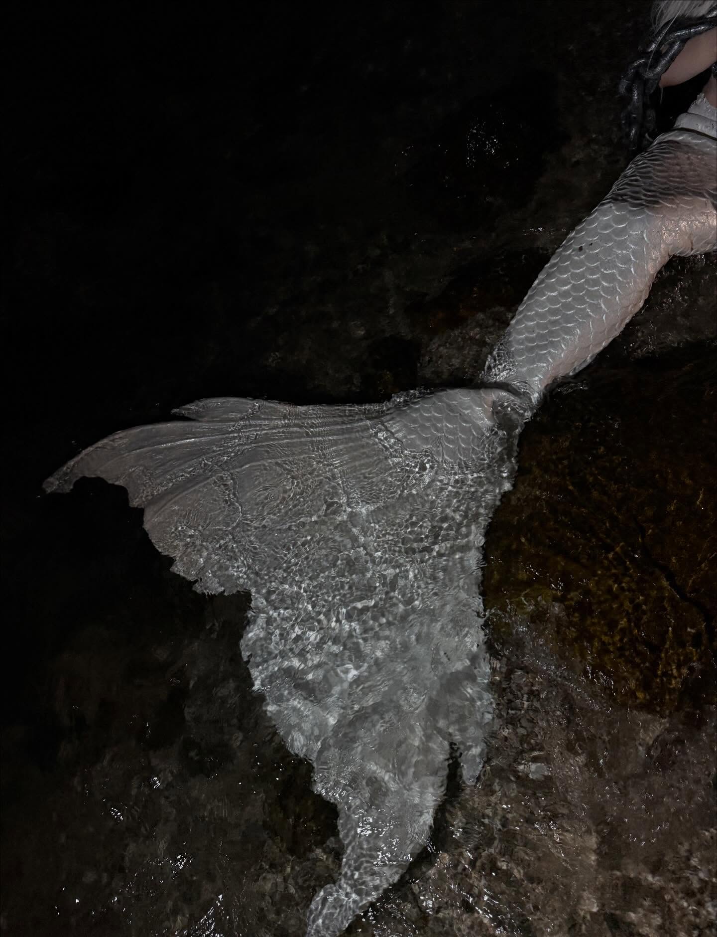 จีน่า - วิรายา ภัทรโชคชัย