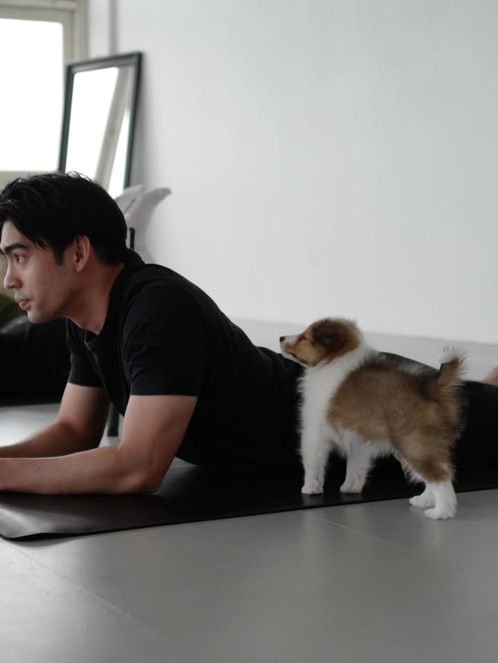 ดุล ร่มจำปา