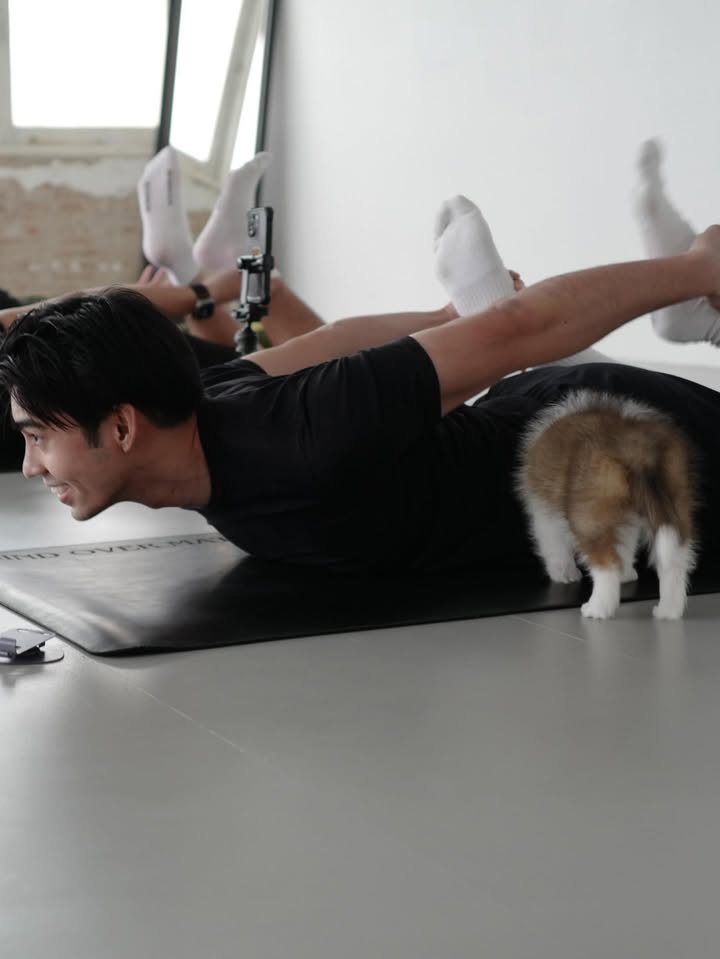 ดุล ร่มจำปา