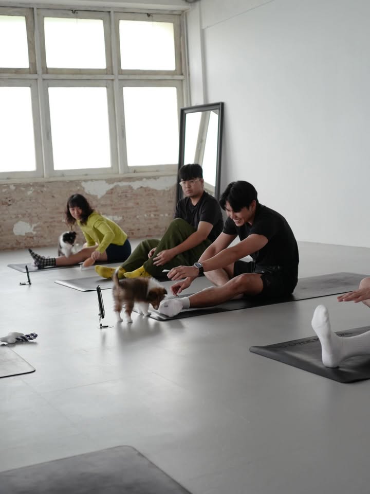 ดุล ร่มจำปา