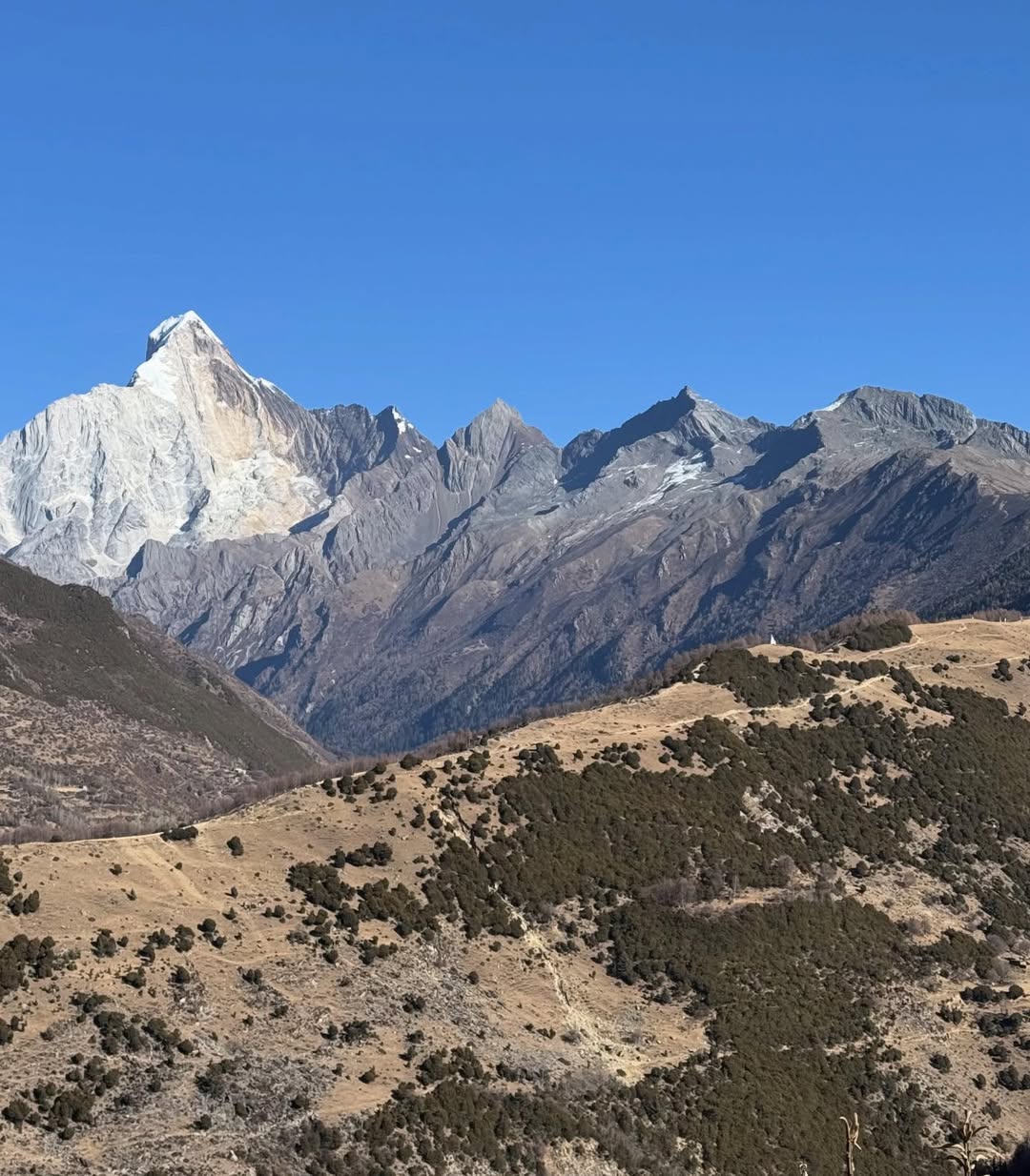 ดุล ร่มจำปา