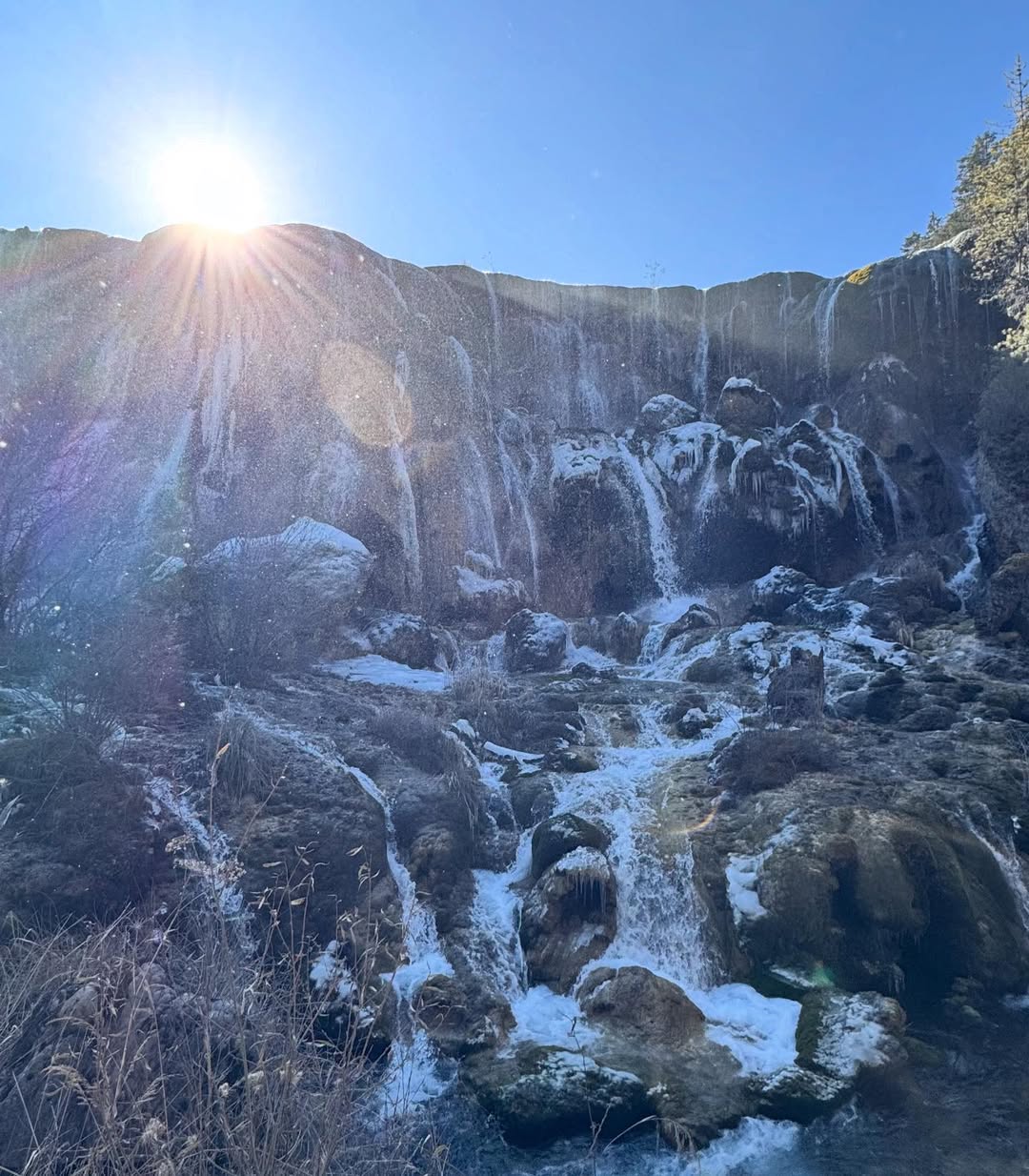 ดุล ร่มจำปา